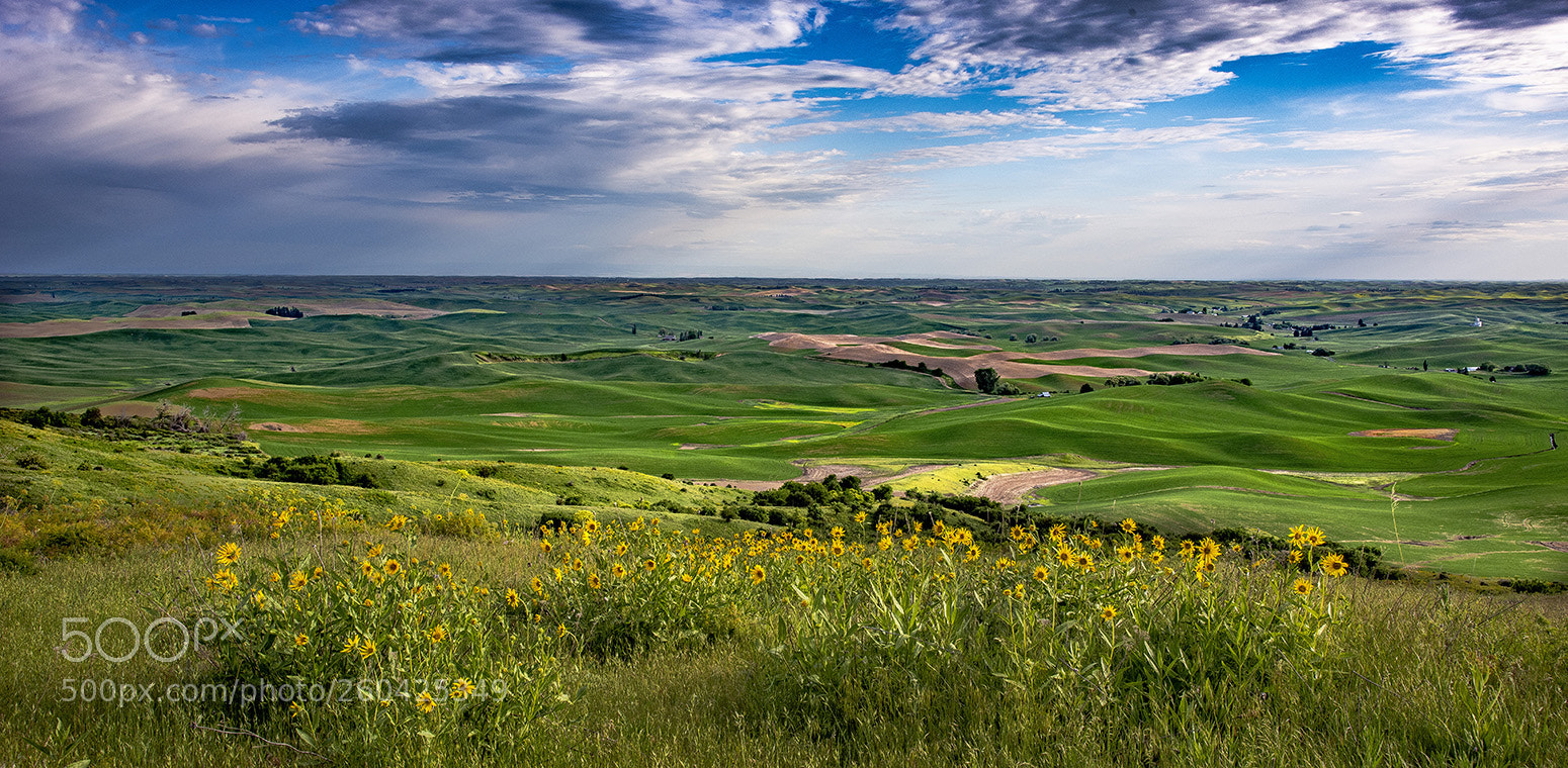 Nikon D810 sample photo. The palouse photography
