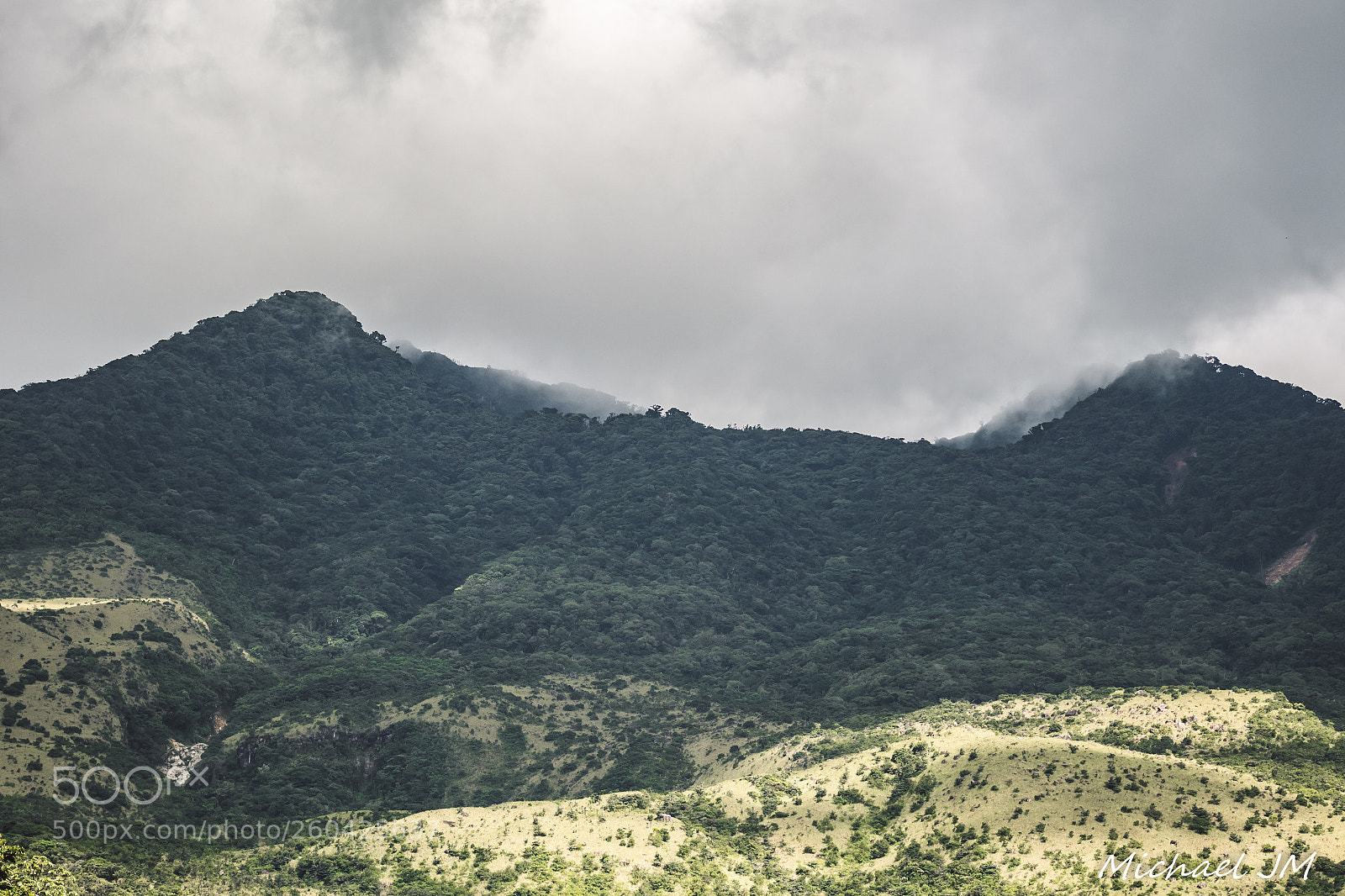 Nikon D500 sample photo. Costa rica photography