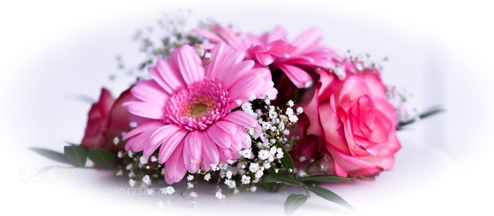 Nikon D7500 sample photo. . photography