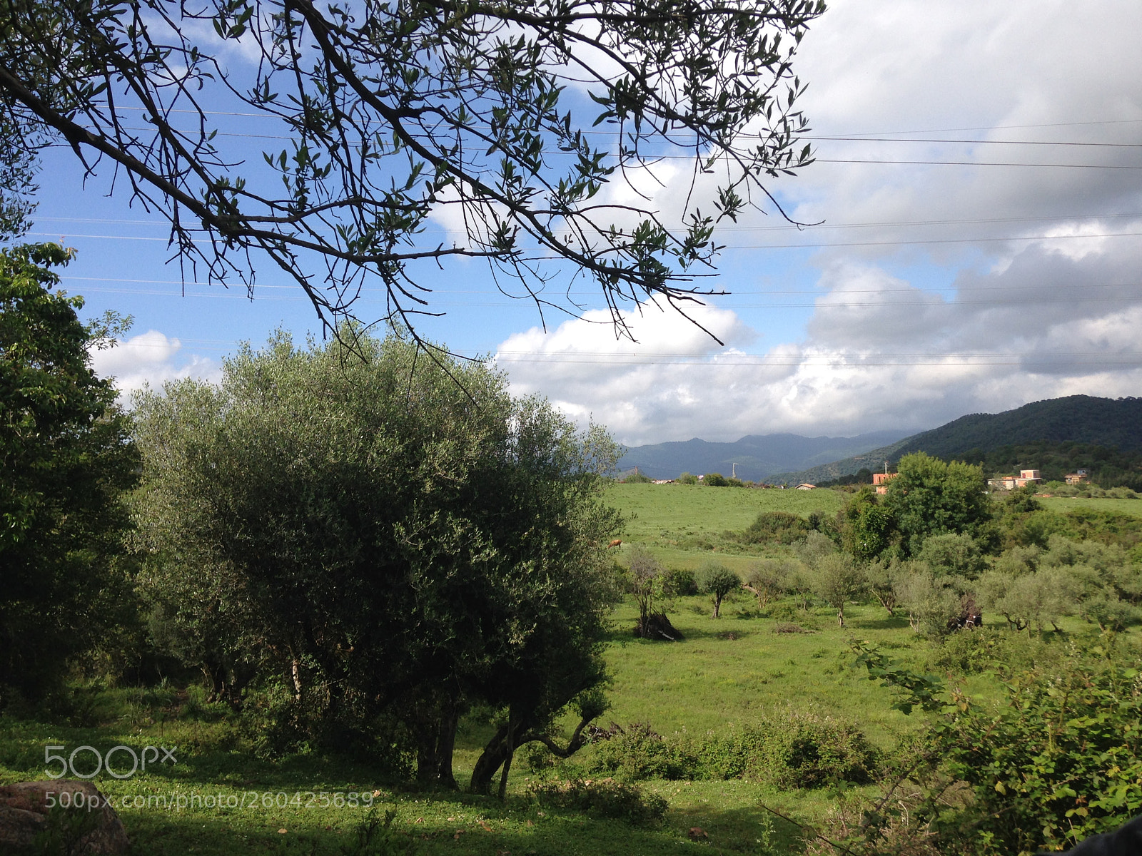 Apple iPhone 5 sample photo. [] photography