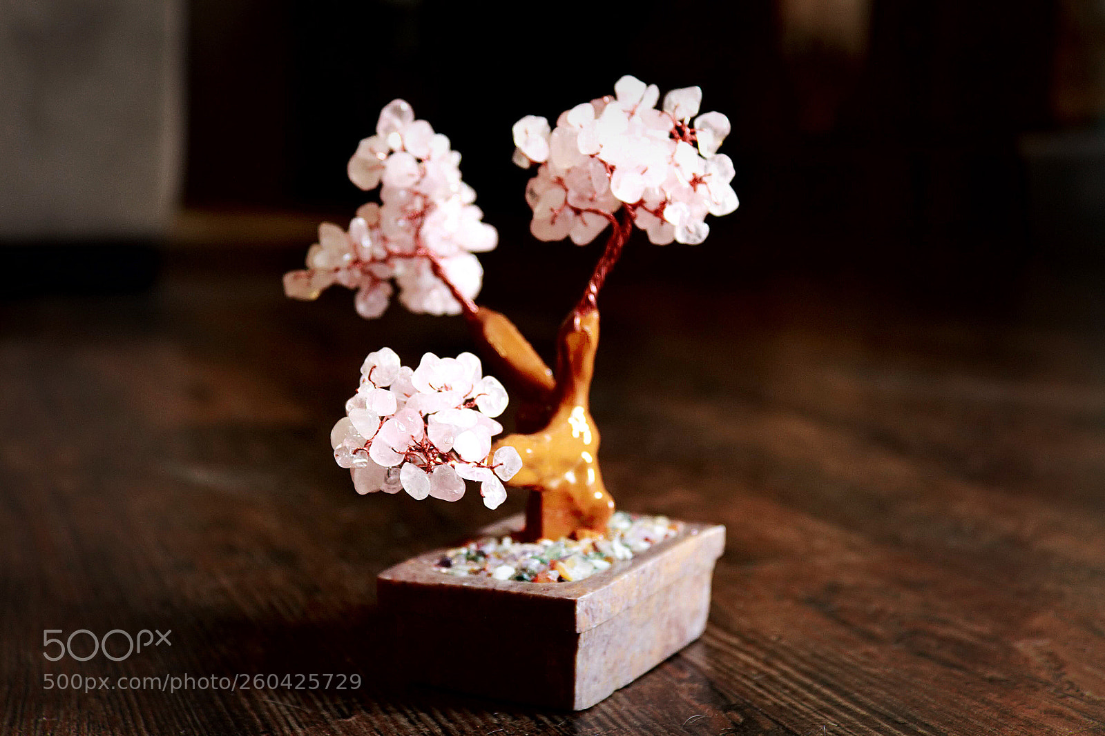 Canon EOS 1200D (EOS Rebel T5 / EOS Kiss X70 / EOS Hi) sample photo. - cherry blossom photography