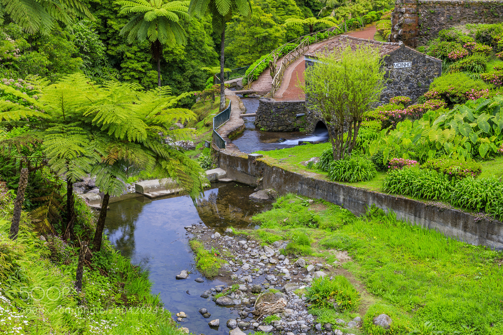 Canon EOS 5D Mark IV sample photo. A ores-s o miguel-parque photography
