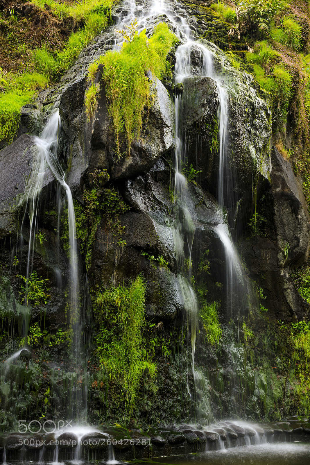 Canon EOS 5D Mark IV sample photo. A ores-s o miguel-parque photography
