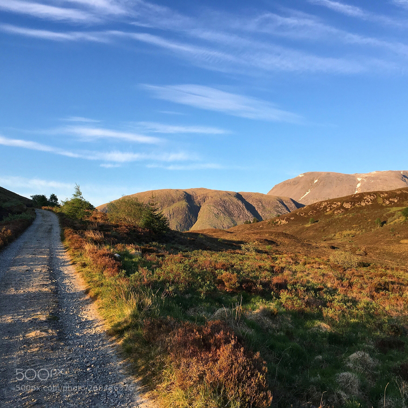 Apple iPhone 6s sample photo. The peat track  photography