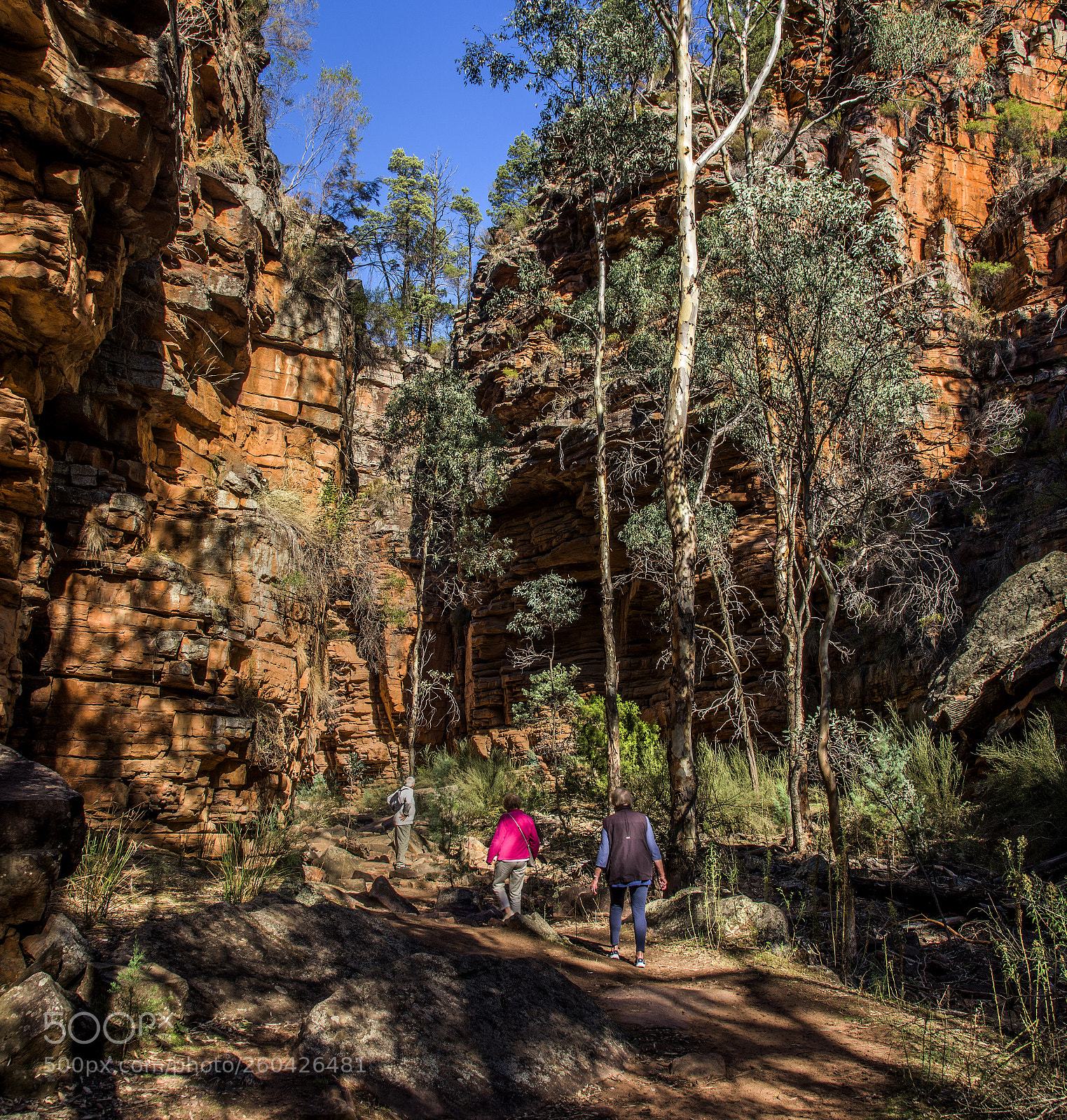 Nikon D810 sample photo. Alligator gorge ,mount remarkable photography