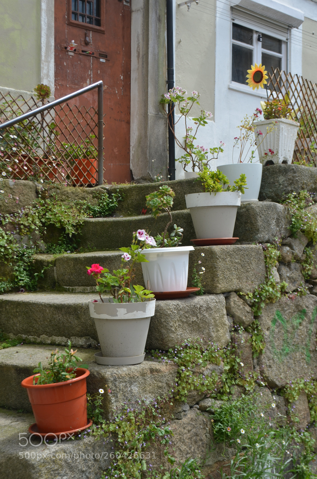Nikon D5100 sample photo. Dsc photography