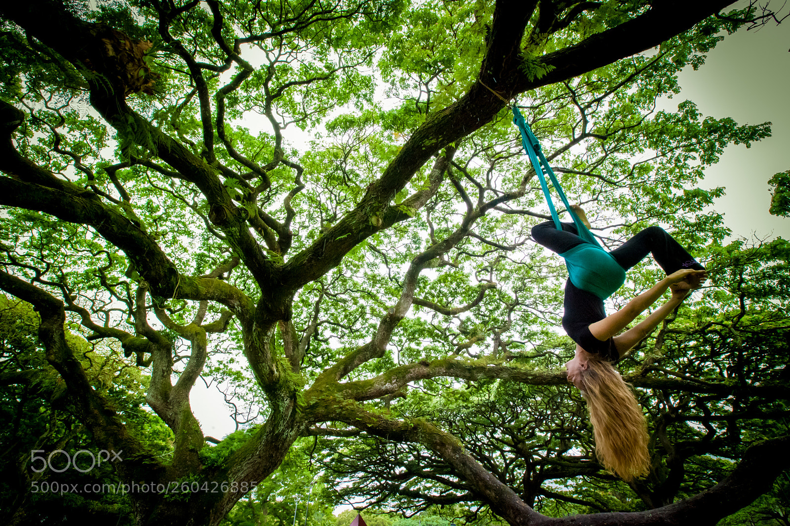 Canon EOS 5D Mark II sample photo. Aerial park photography