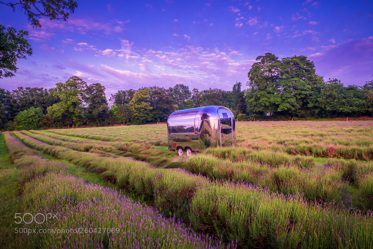 Nikon D810 sample photo. Mayfield lavender airstream photography