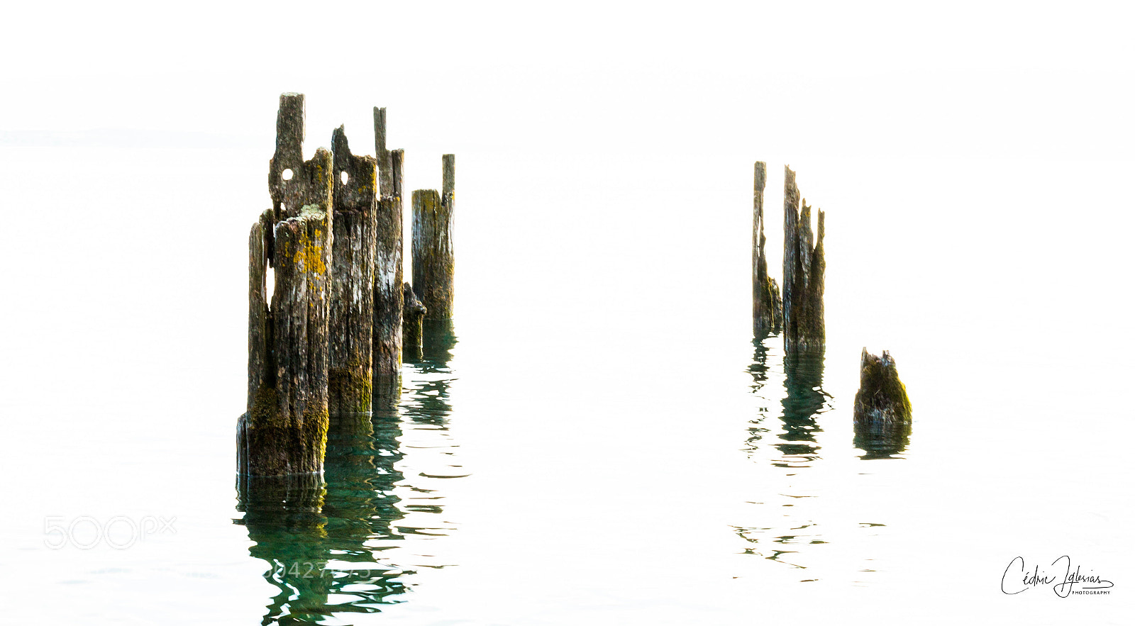 Canon EOS 70D sample photo. Lac leman photography
