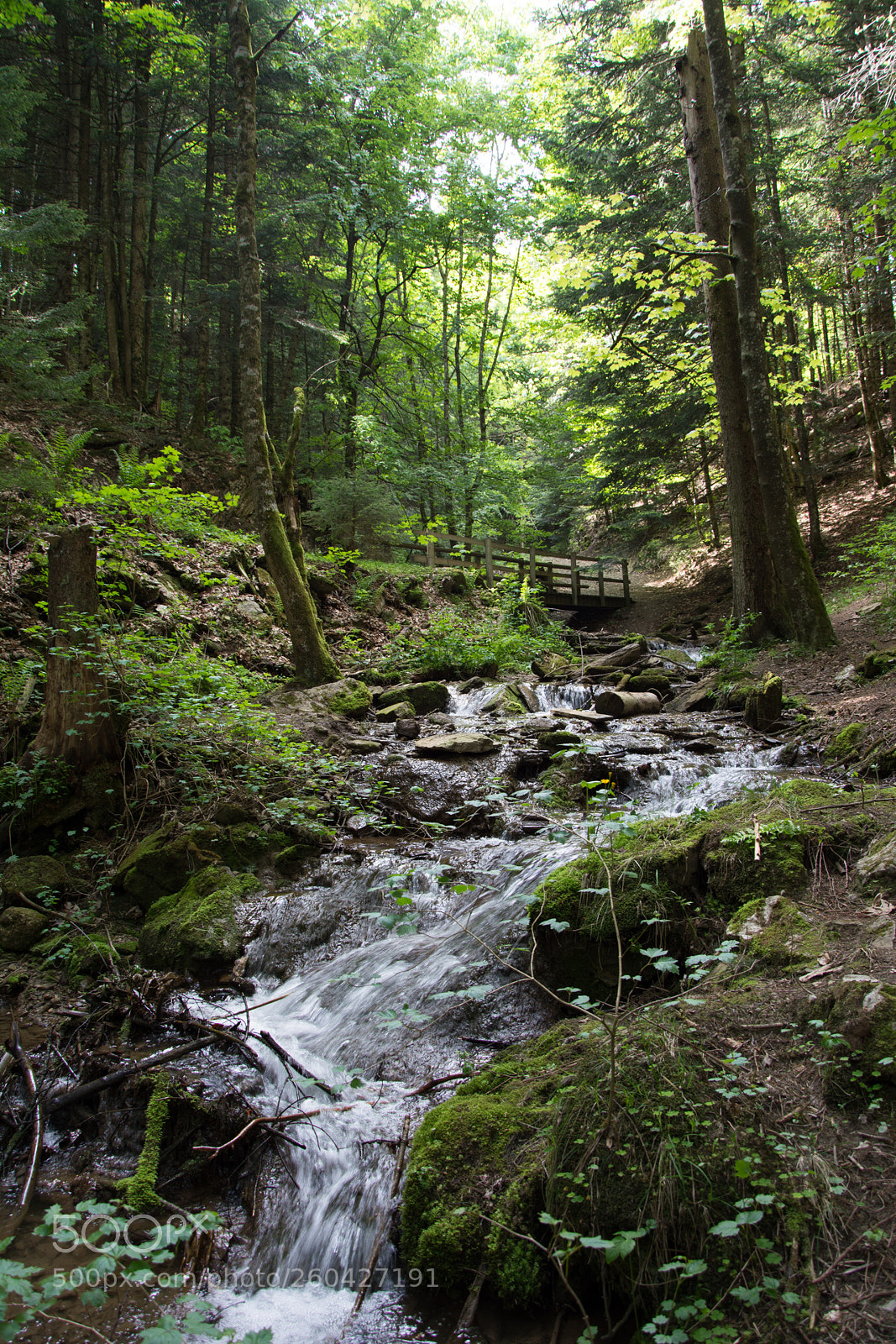 Nikon D5200 sample photo. Creek photography