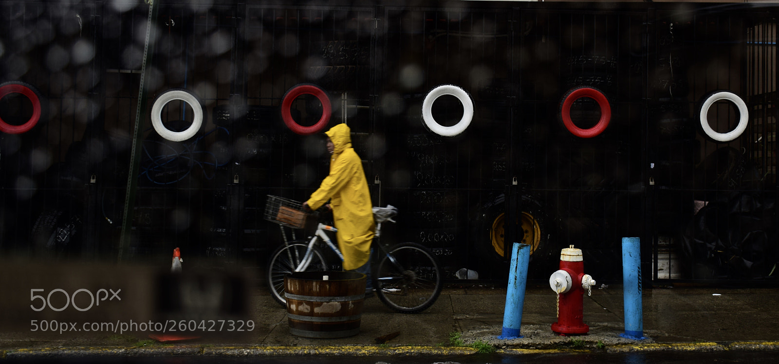 Nikon D5300 sample photo. Spring rain photography