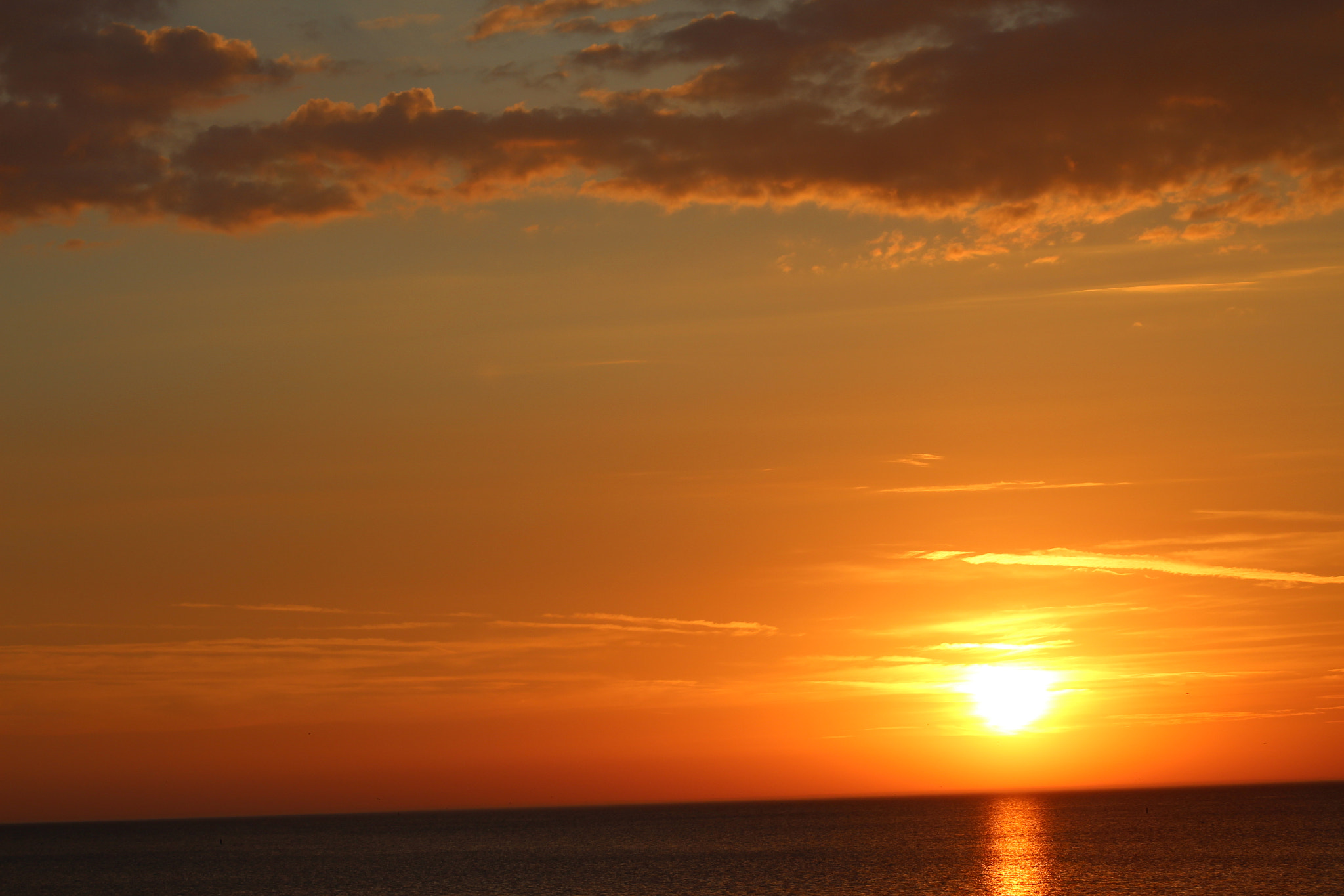 Canon EF 75-300mm f/4-5.6 sample photo