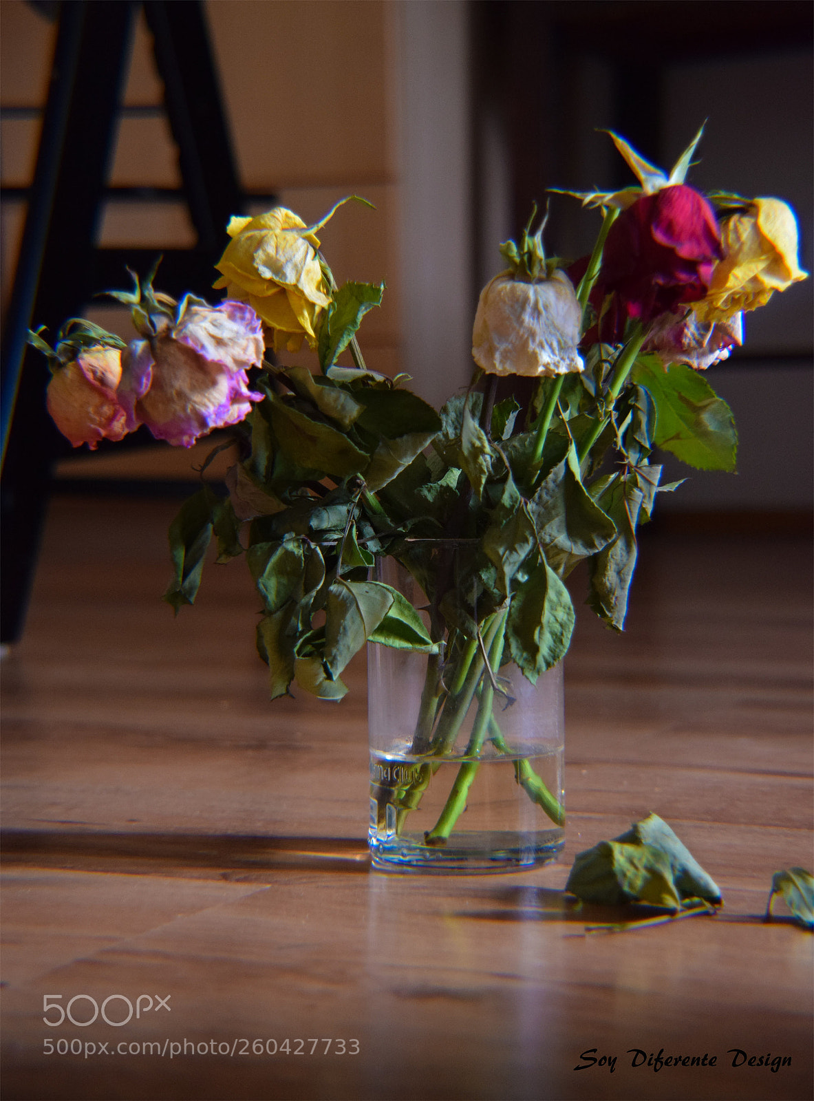 Nikon D3300 sample photo. Still life of withering photography