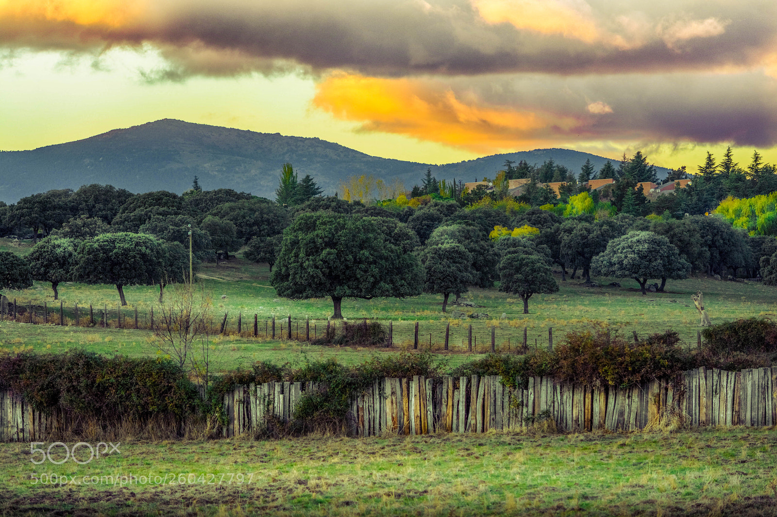 Nikon D5200 sample photo. El guijo photography