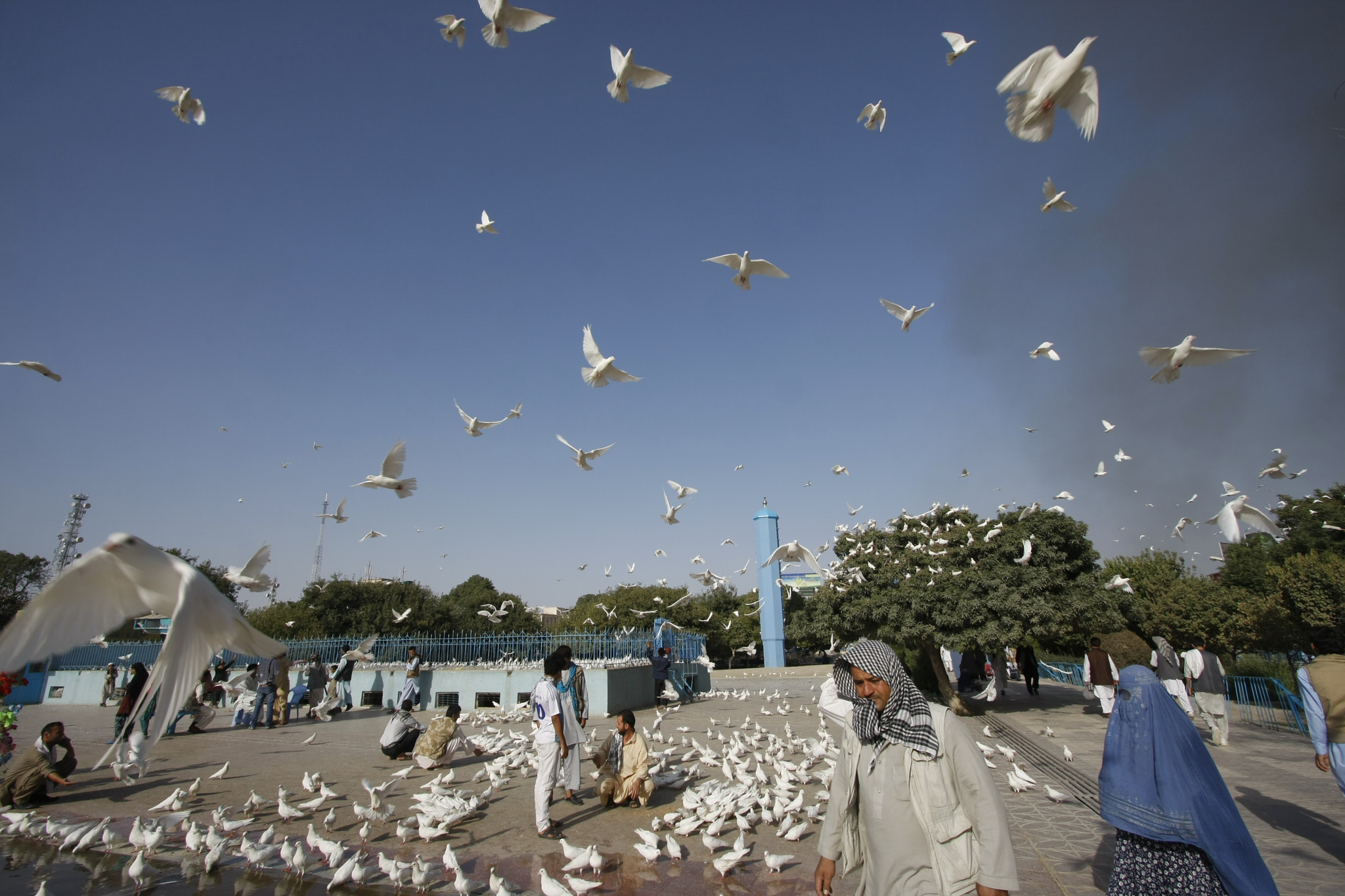 Canon EOS 40D sample photo. White doves of mazar-i-sharif photography