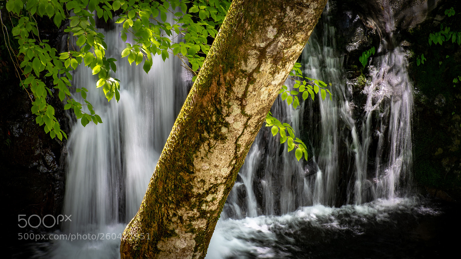 Pentax K-1 sample photo. Inunakisan waterfall photography