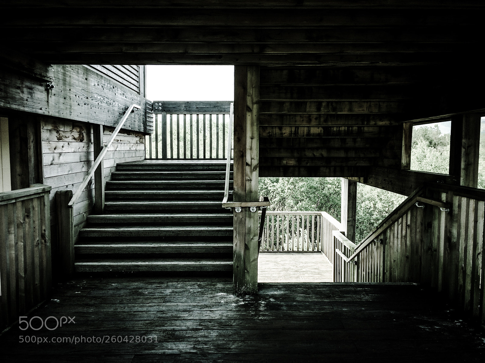 Apple iPhone 5s sample photo. Dyfi osprey project stairs photography