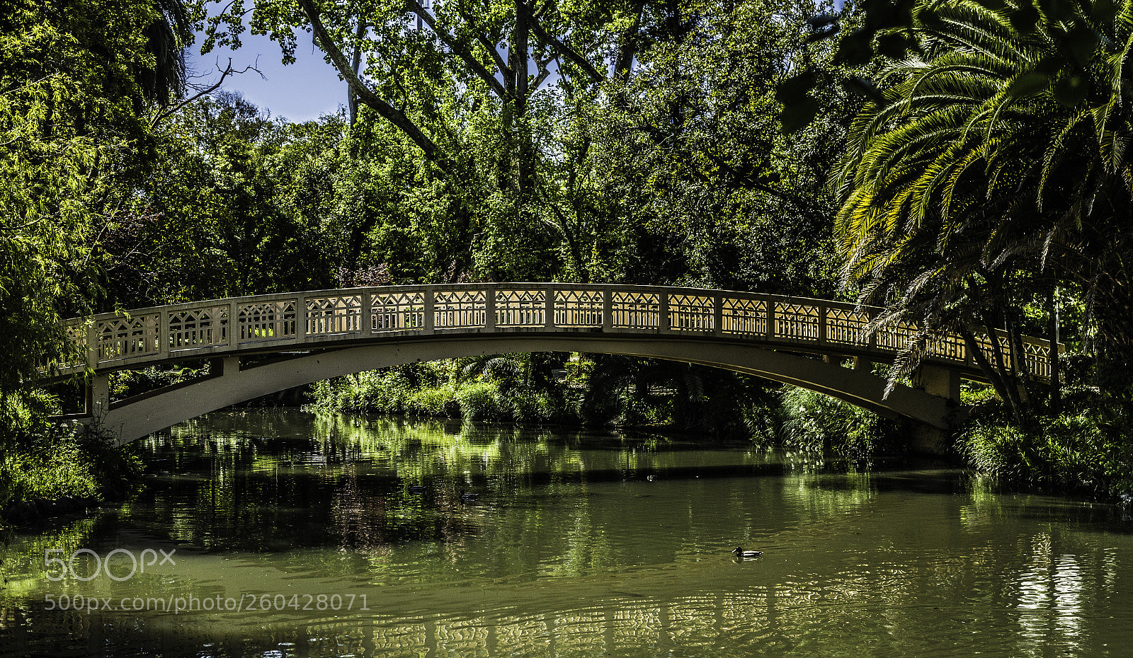Canon EOS 6D sample photo. Jardim das macacas photography