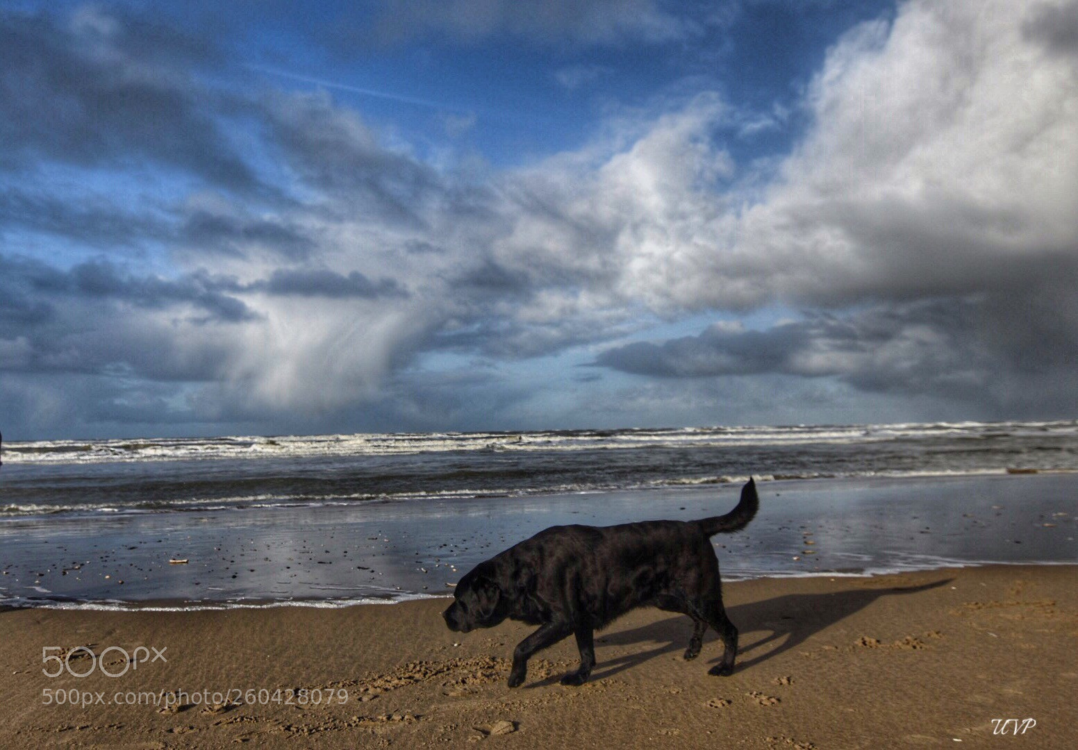 Nikon D7200 sample photo. Zandvoort photography