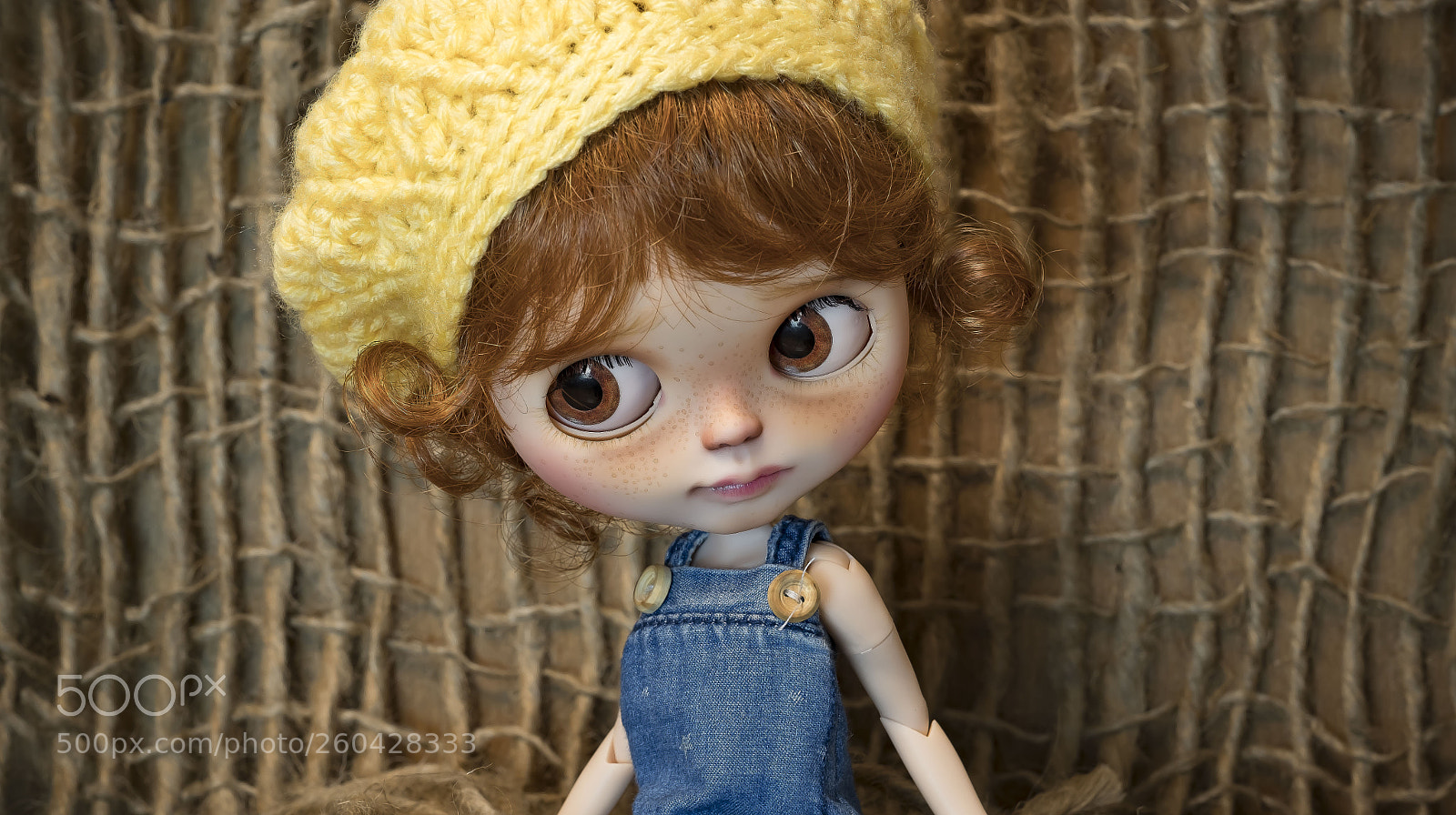 Fujifilm X-Pro2 sample photo. She arrived home today. photography