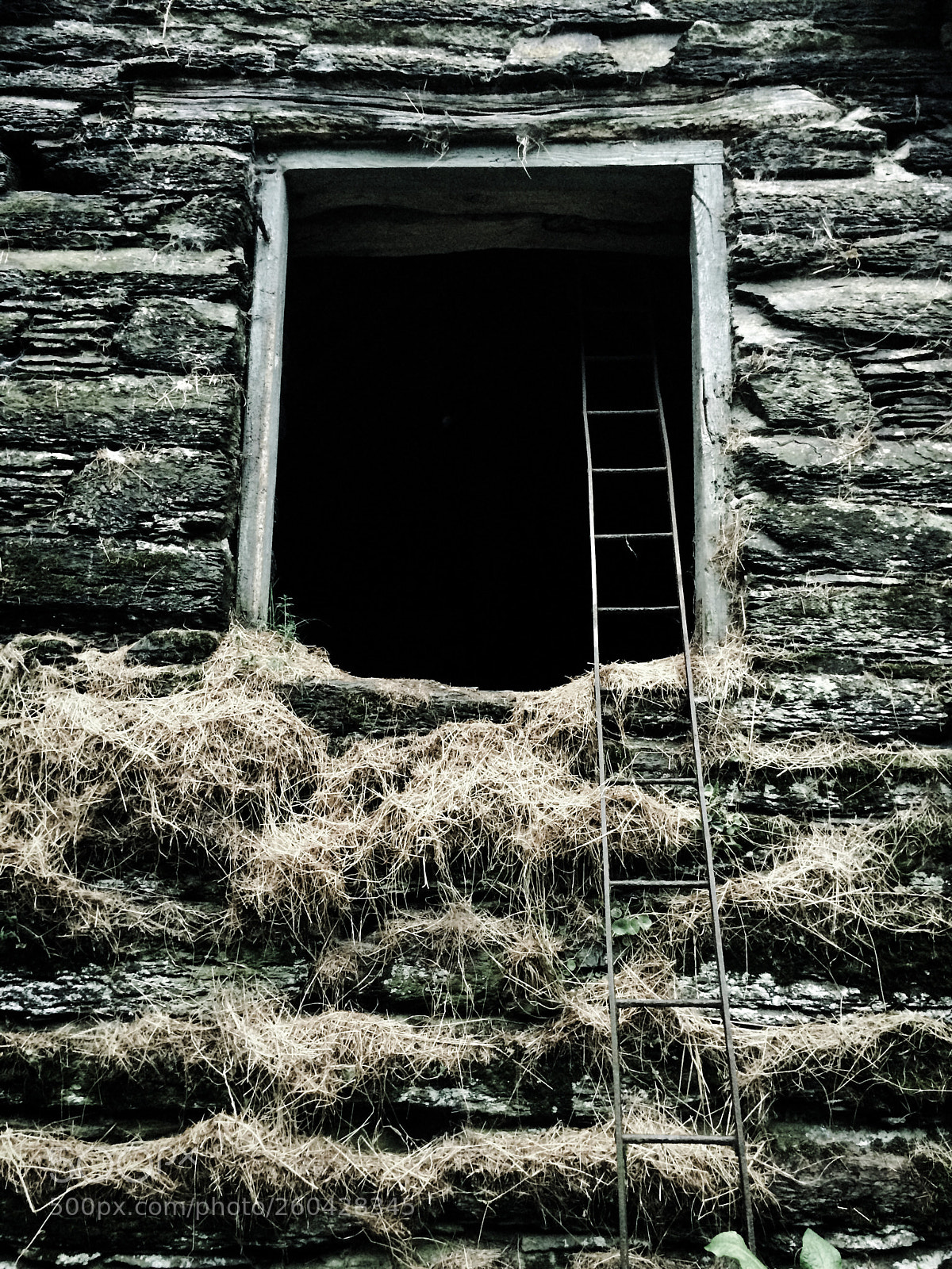 Apple iPhone 5s sample photo. Hayloft photography
