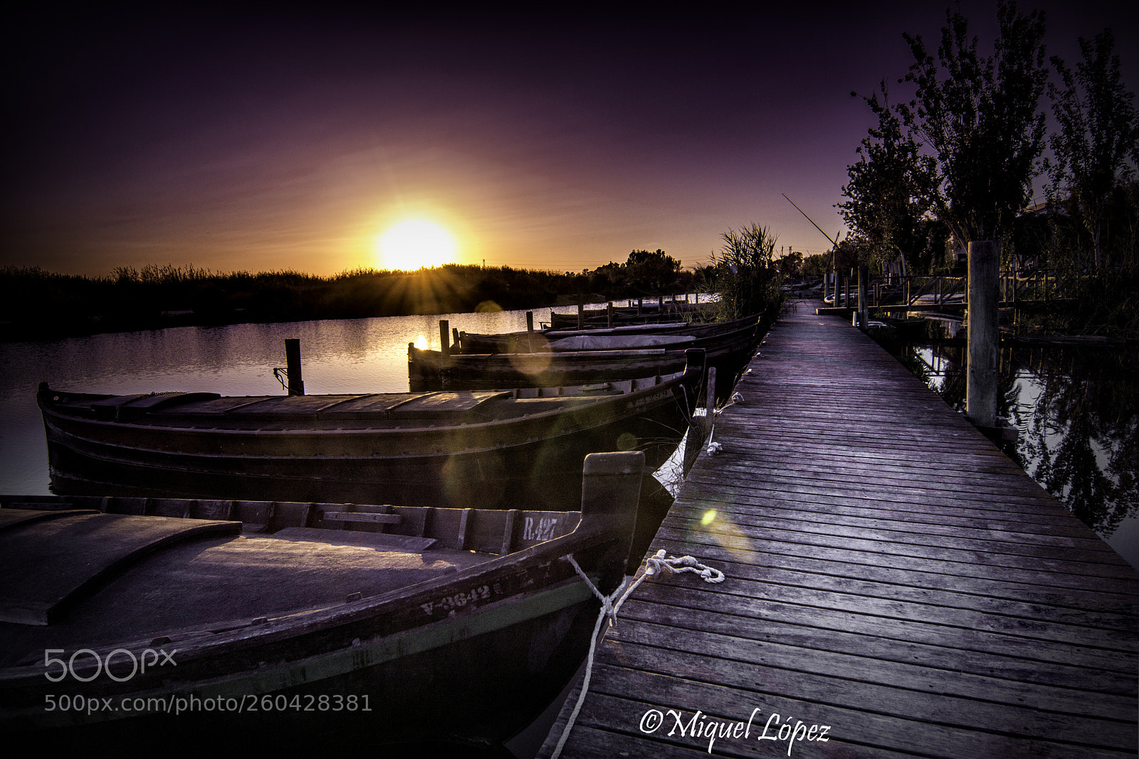 Sony SLT-A77 sample photo. Albufera valenciana photography