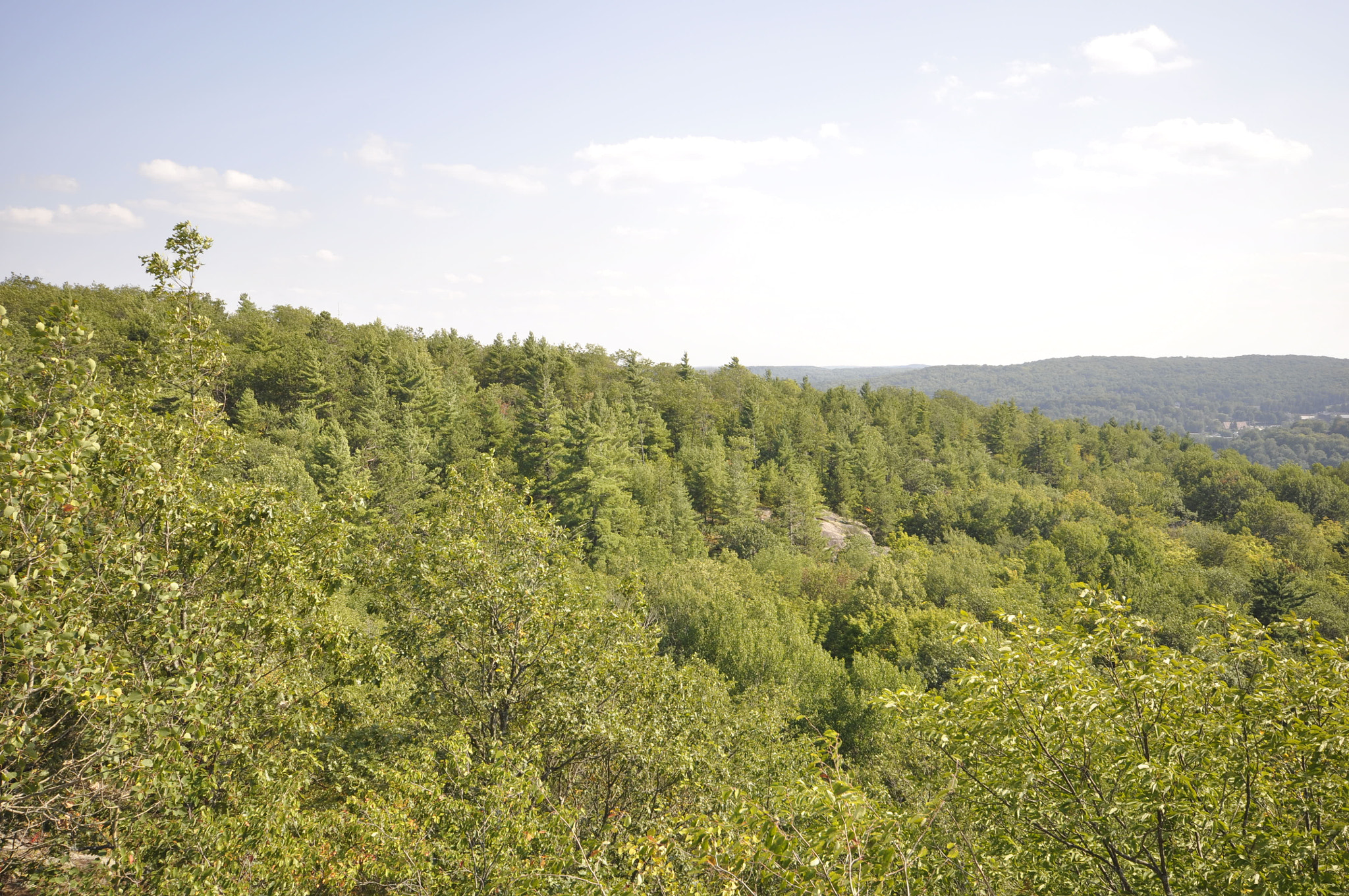 Nikon D90 + Sigma 10-20mm F4-5.6 EX DC HSM sample photo. Trees on hill photography