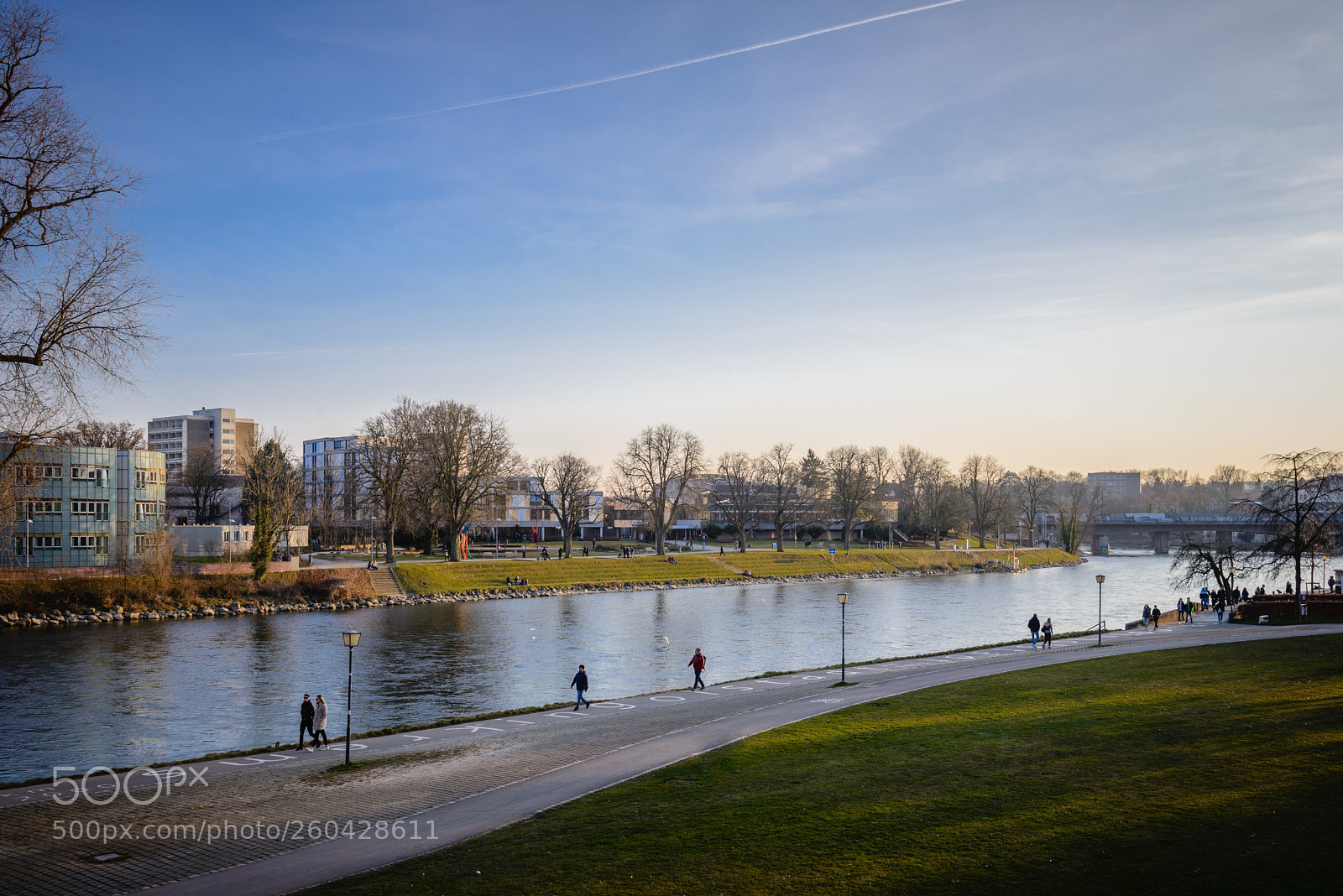 Nikon D610 sample photo. Untitled photography