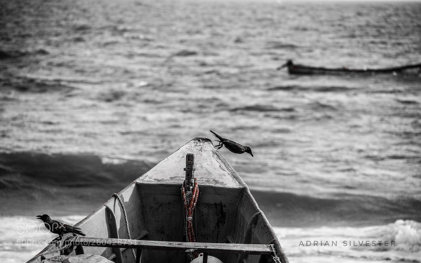 Nikon D5300 sample photo. About to leave photography