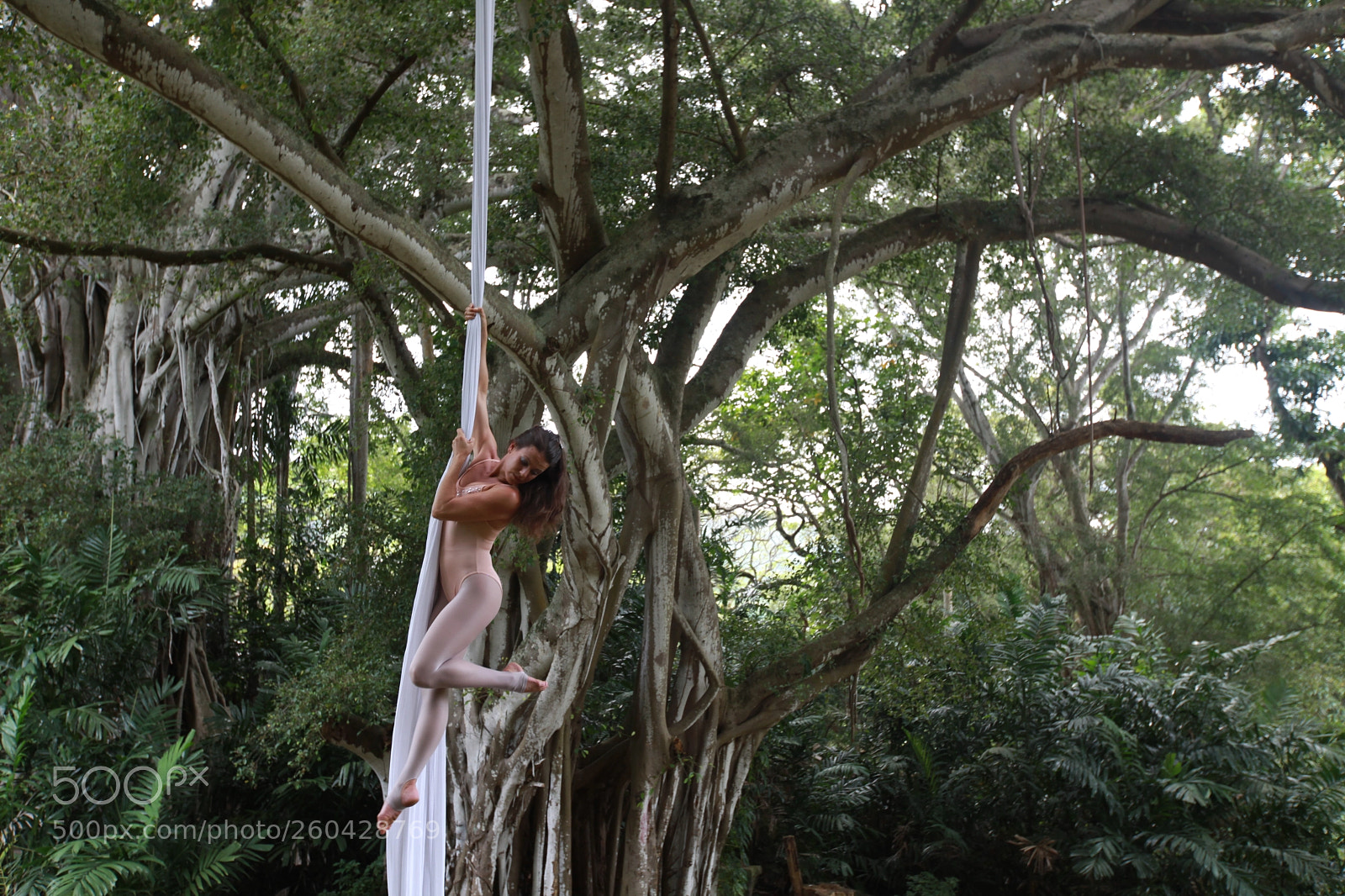 Canon EOS 5D Mark II sample photo. Img photography