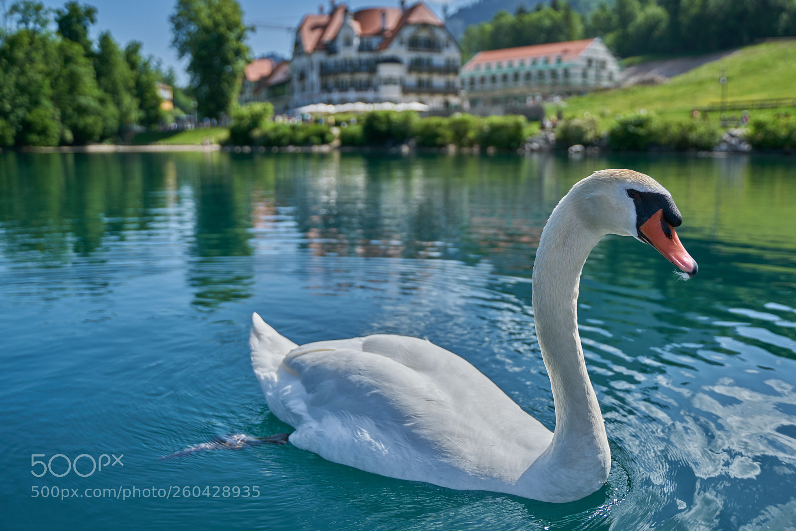 Sony a7R II sample photo. Alpsee photography