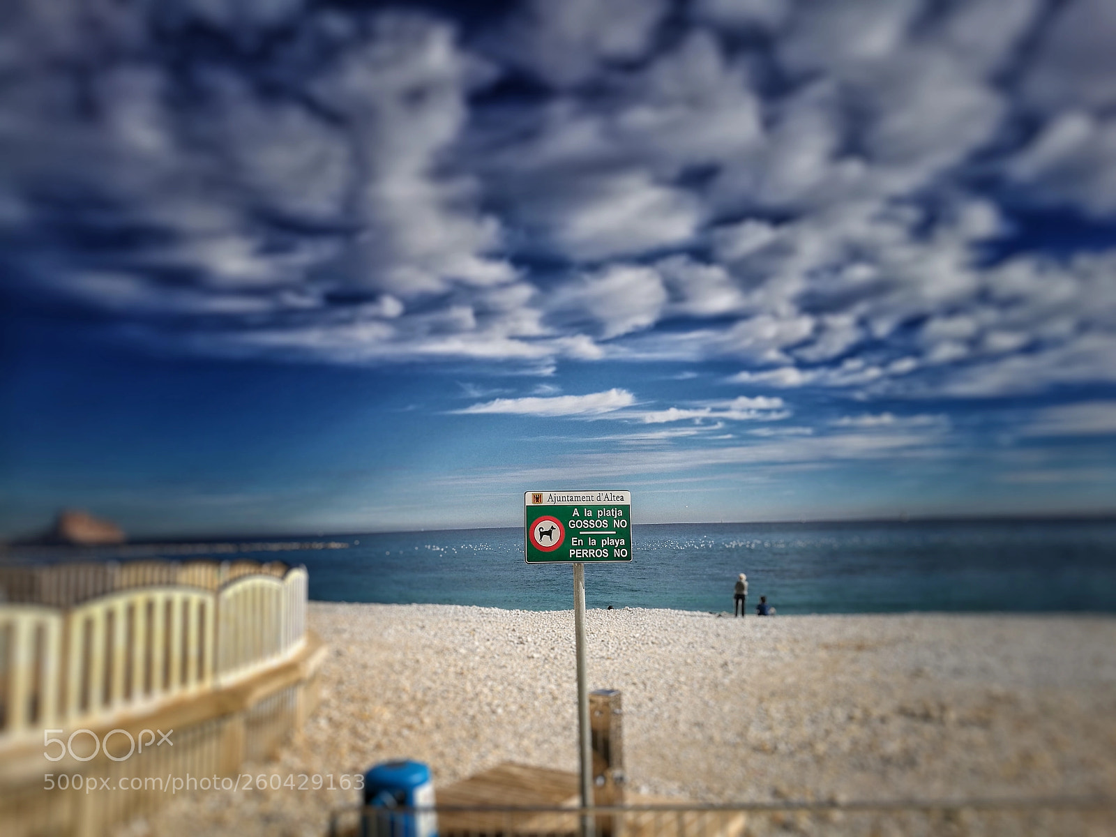 HUAWEI P9 sample photo. Untitled photography