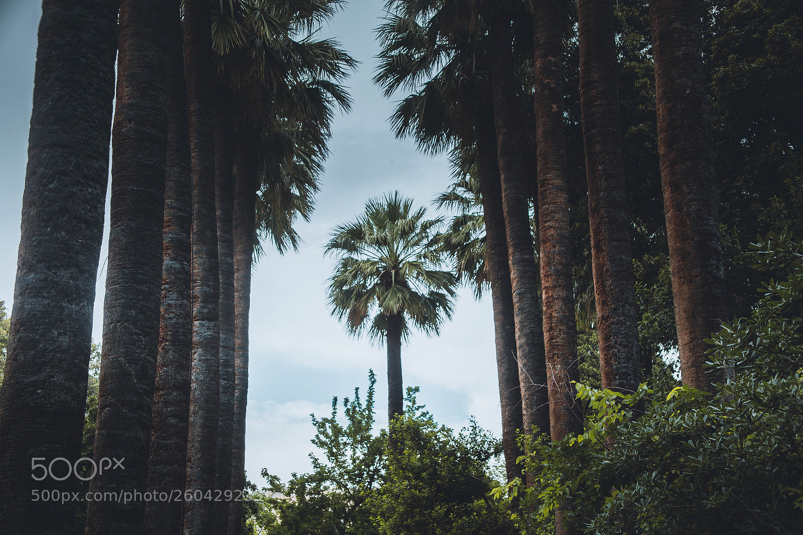 Canon EOS 6D sample photo. Img photography
