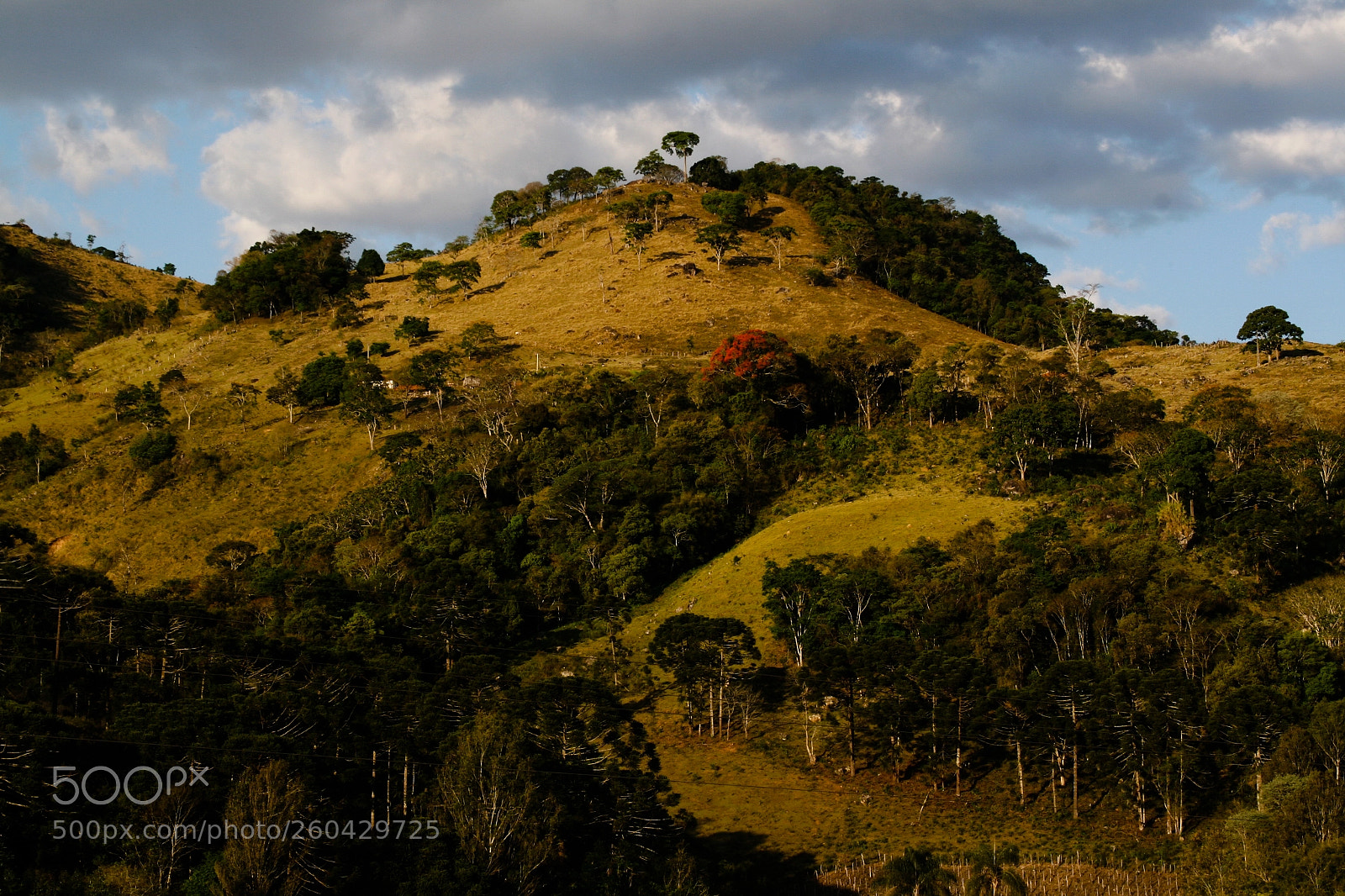 Canon EOS 20D sample photo. Unnamed hill in minas photography