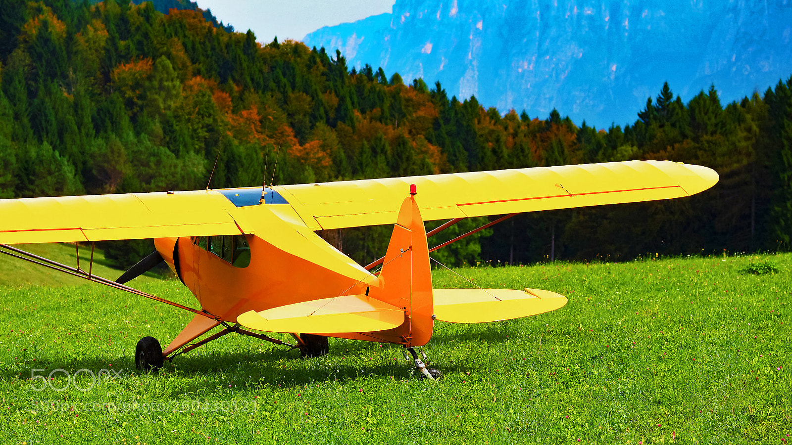 Olympus OM-D E-M10 sample photo. Yellow plane green grass photography