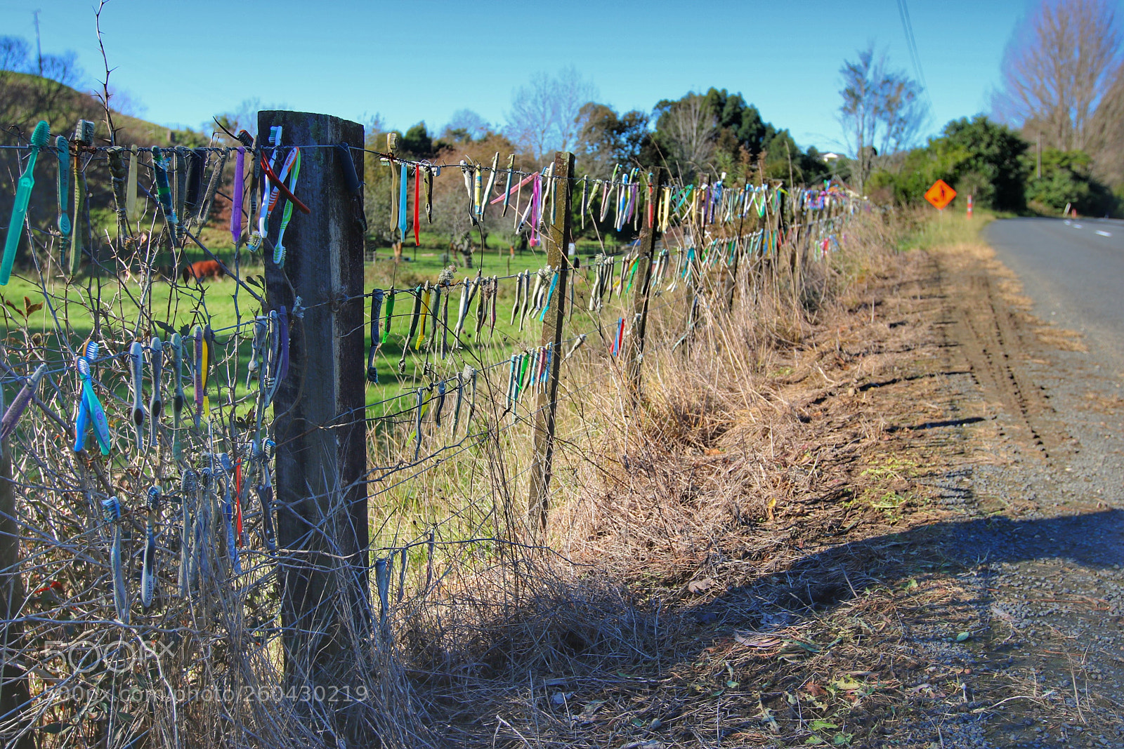 Canon EOS 750D (EOS Rebel T6i / EOS Kiss X8i) sample photo. Final defense... photography