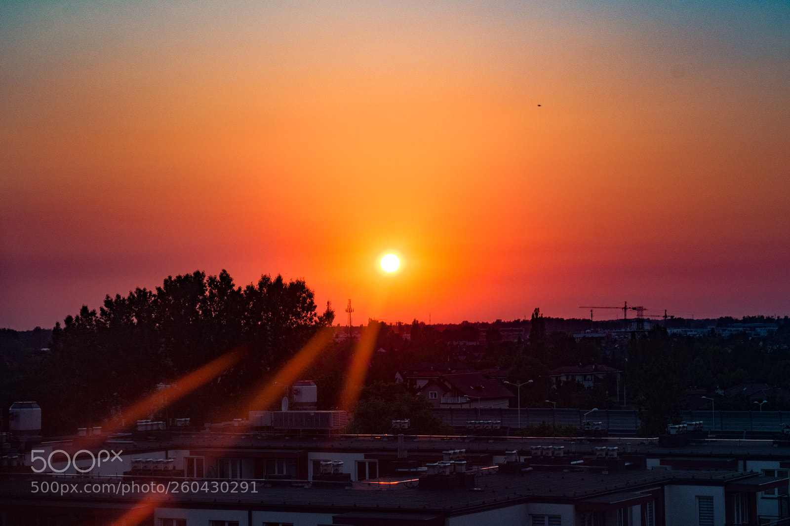Nikon D5200 sample photo. Sun photography