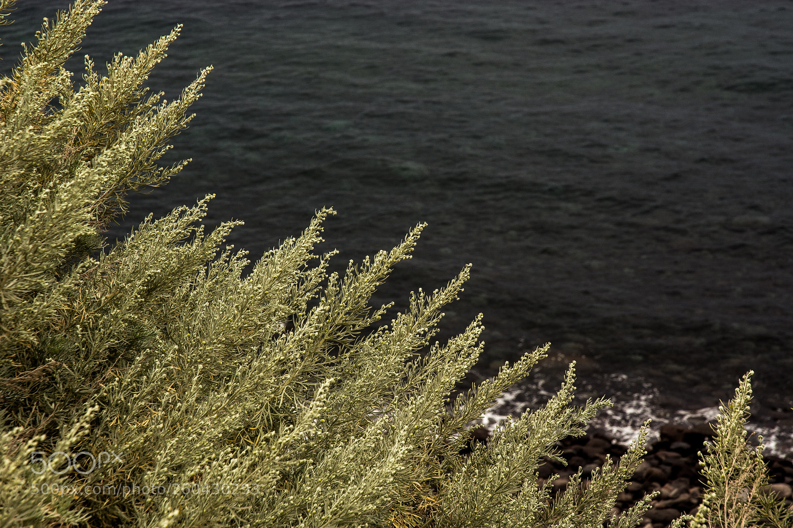 Nikon D7100 sample photo. Black is the sea photography