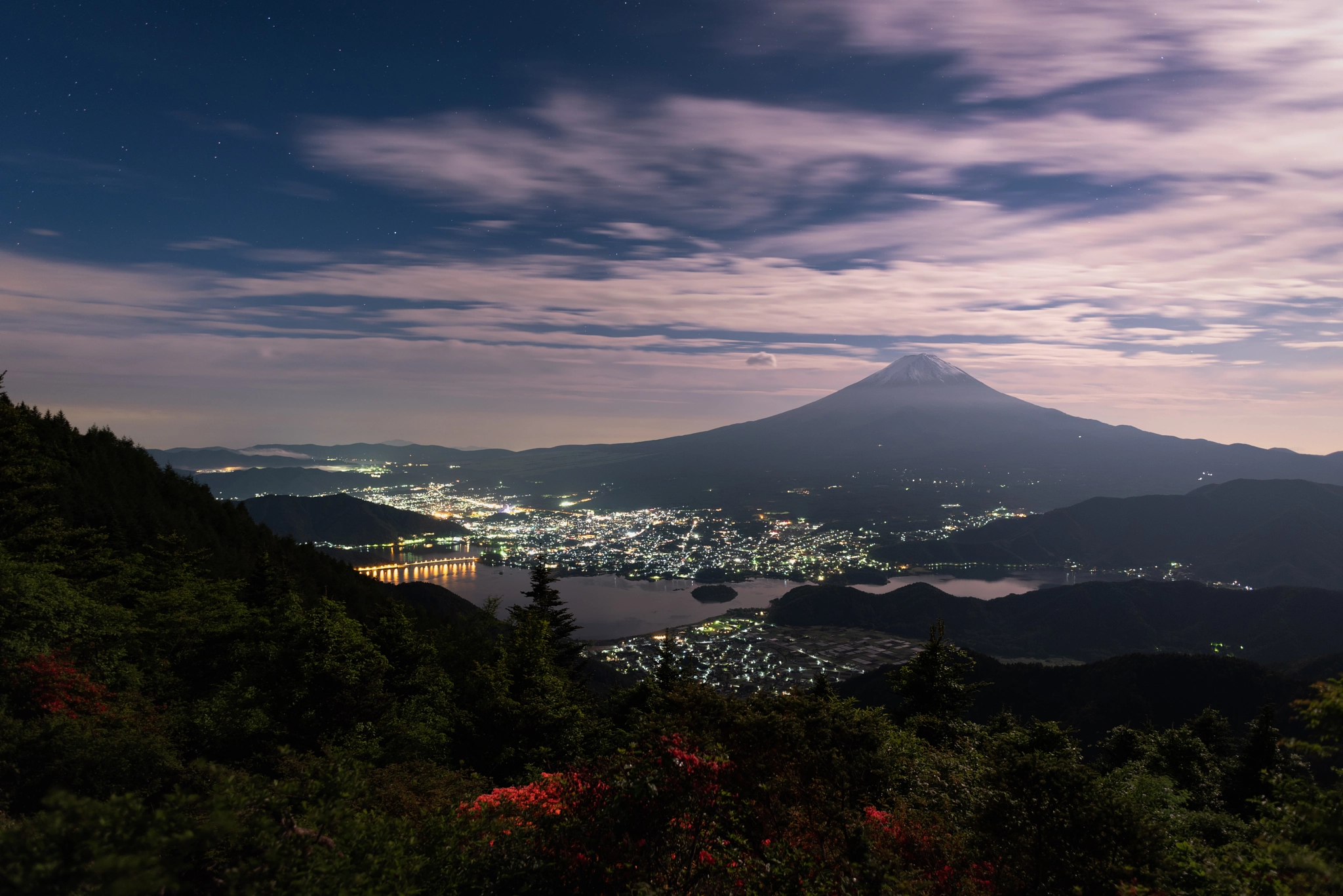 Nikon D810A sample photo. Mt. fuji and azalea blossoms under the moonlight photography