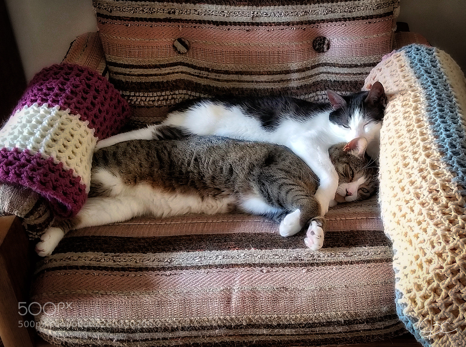 Samsung Galaxy S8 sample photo. Sleepy buds photography
