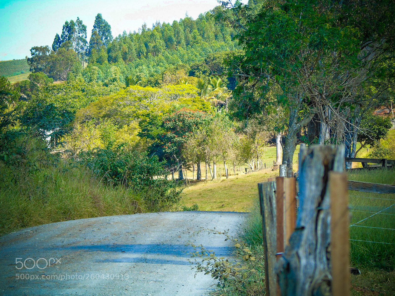 Sony Cyber-shot DSC-H400 sample photo. Untitled photography