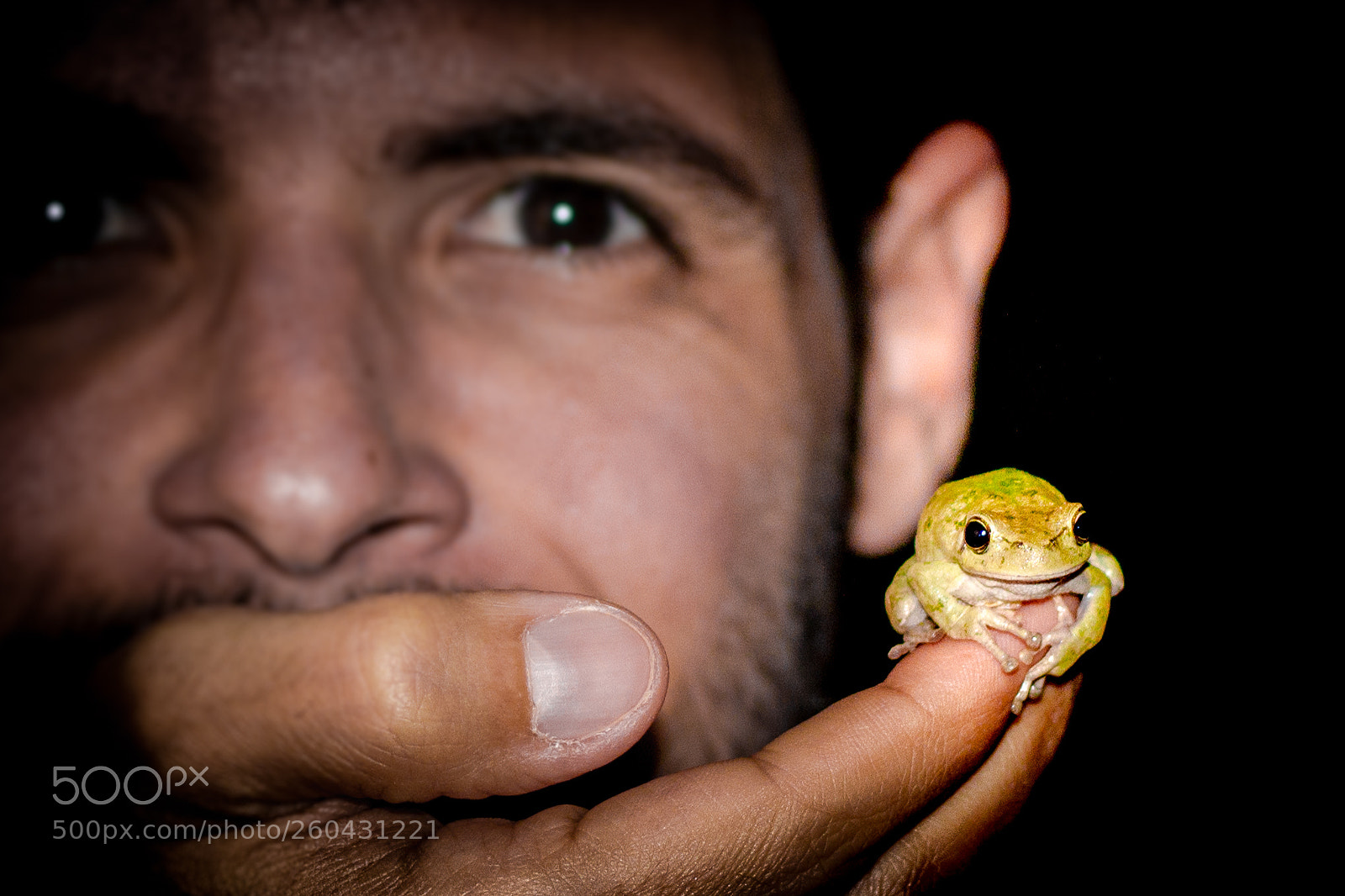 Canon EOS 650D (EOS Rebel T4i / EOS Kiss X6i) sample photo. Frogs everywhere photography