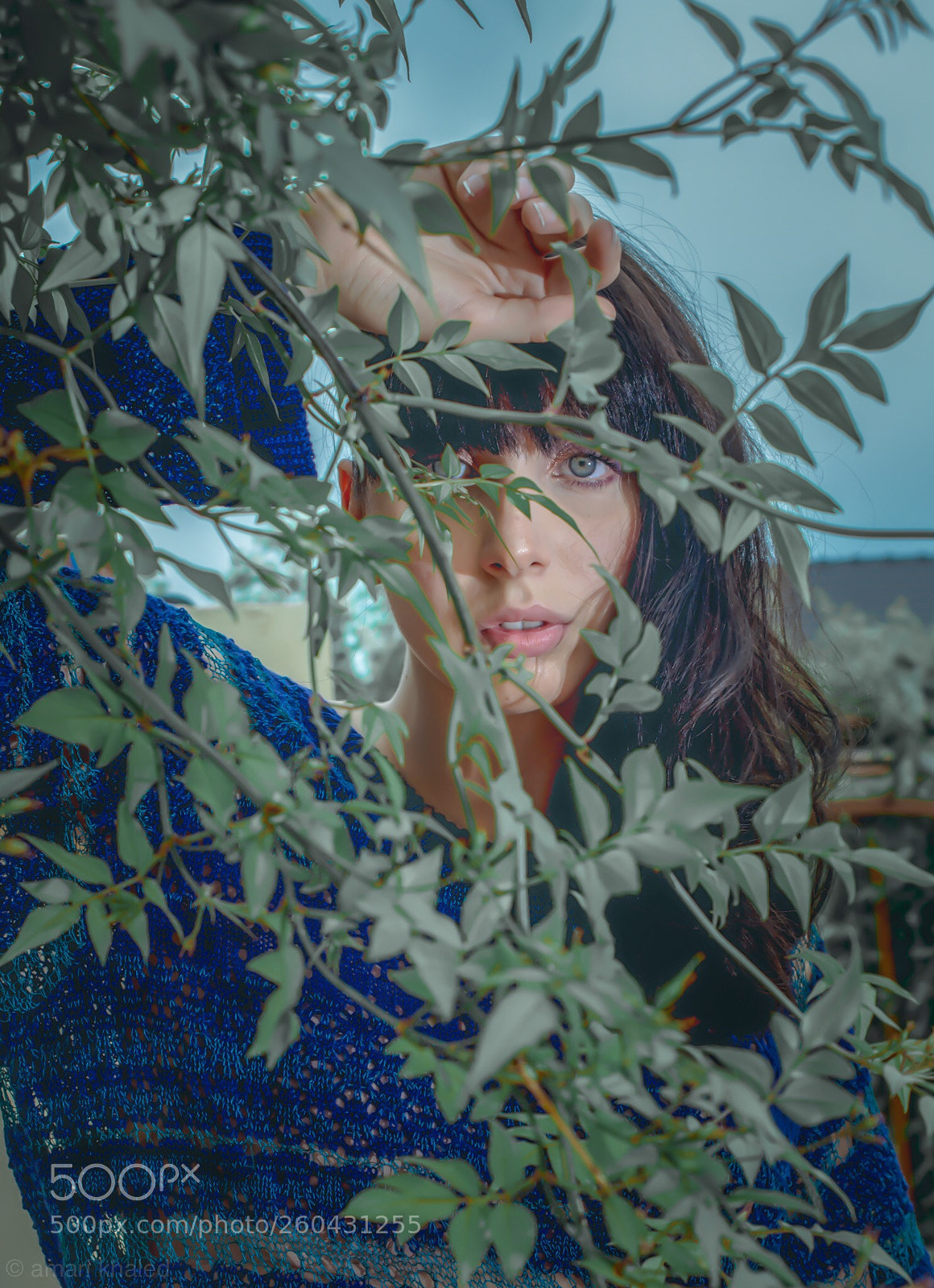 Nikon D800 sample photo. Meaux photography