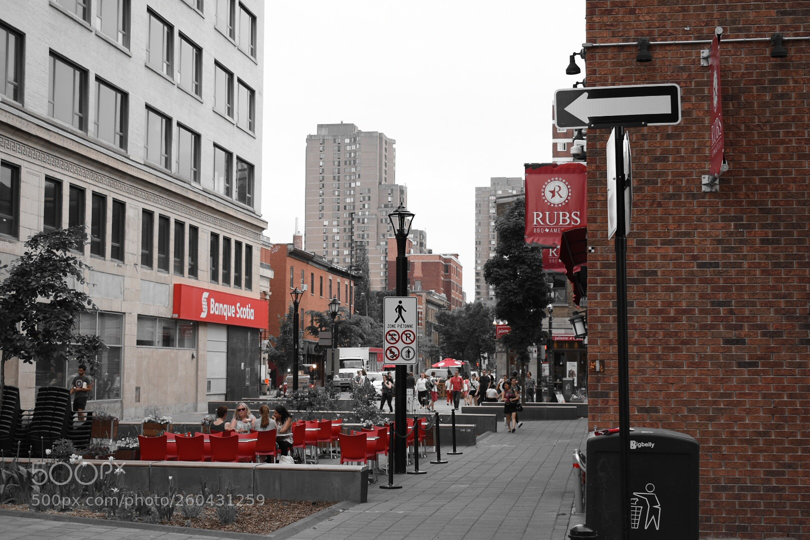 Nikon D3400 sample photo. Red montreal photography