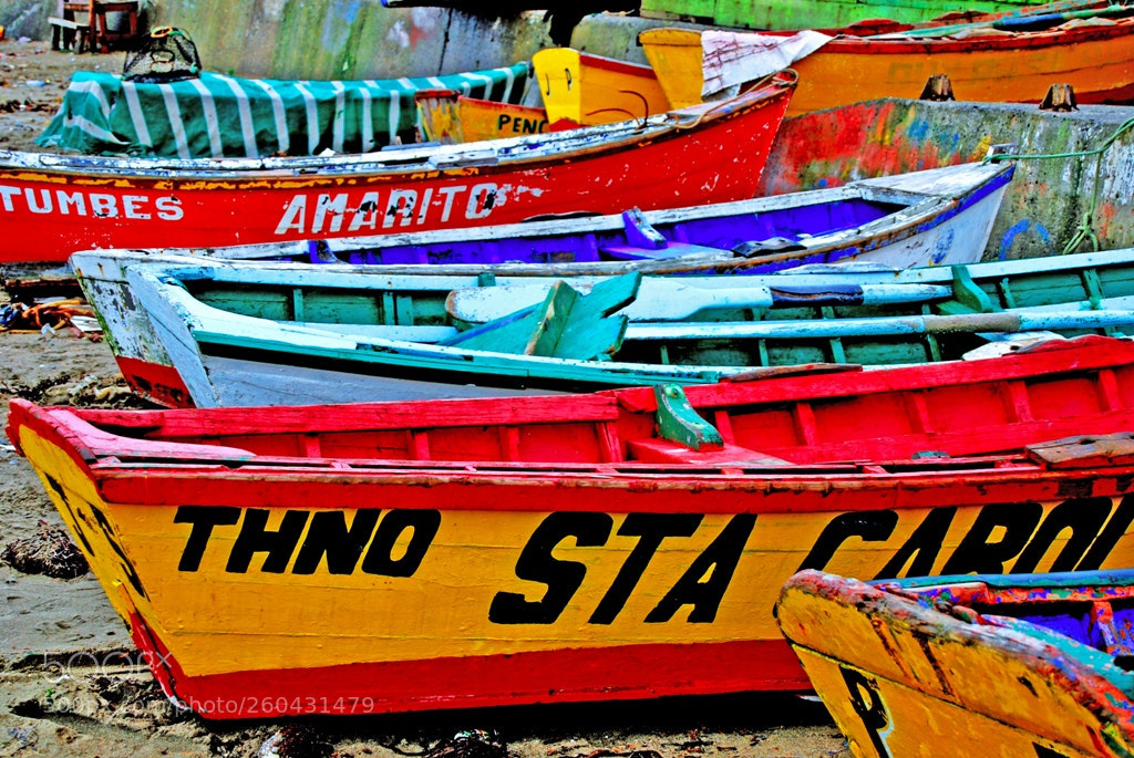 Nikon D60 sample photo. Botes photography