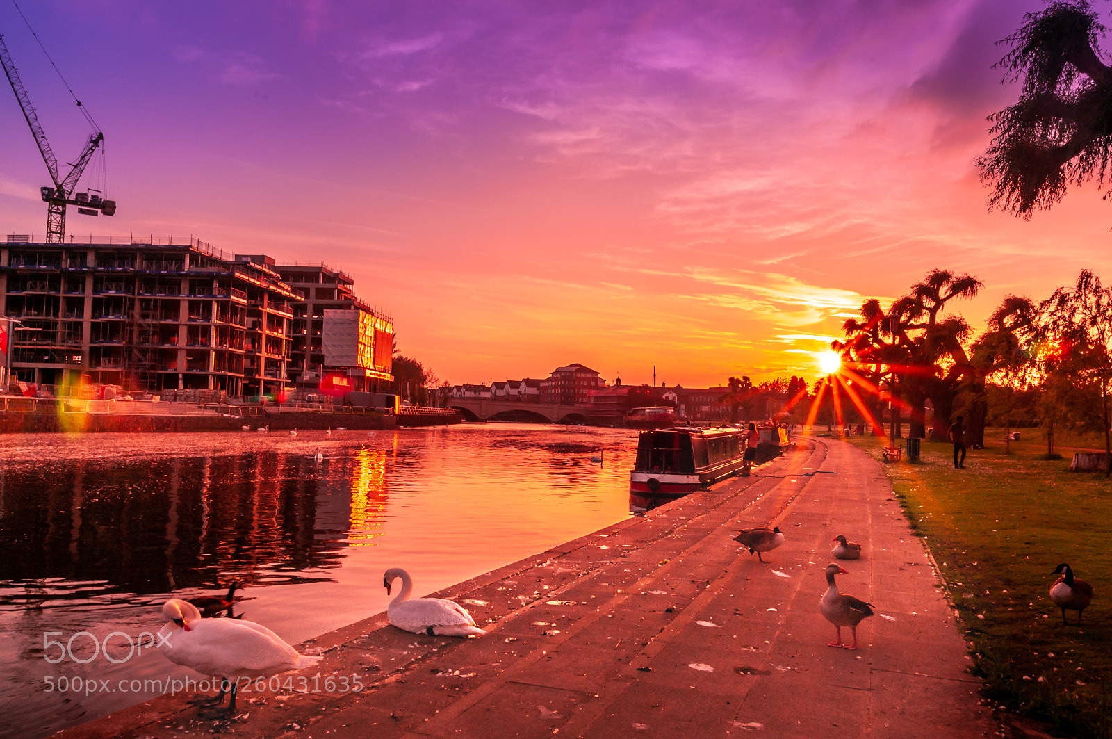 Nikon D300 sample photo. River nene peterborough sunset photography