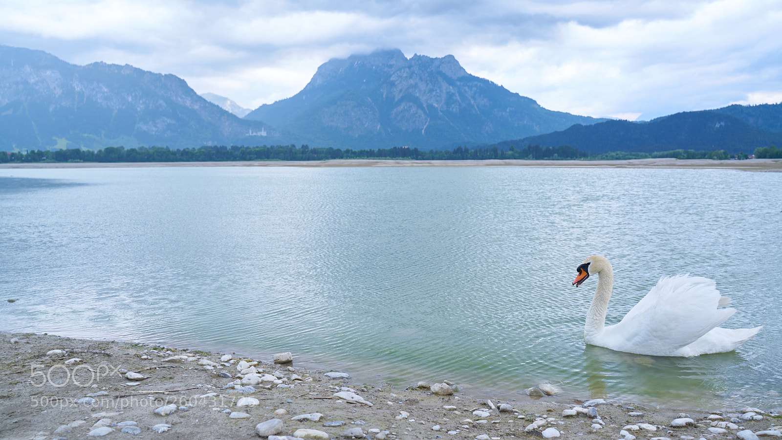 Sony a7R II sample photo. Forggensee photography