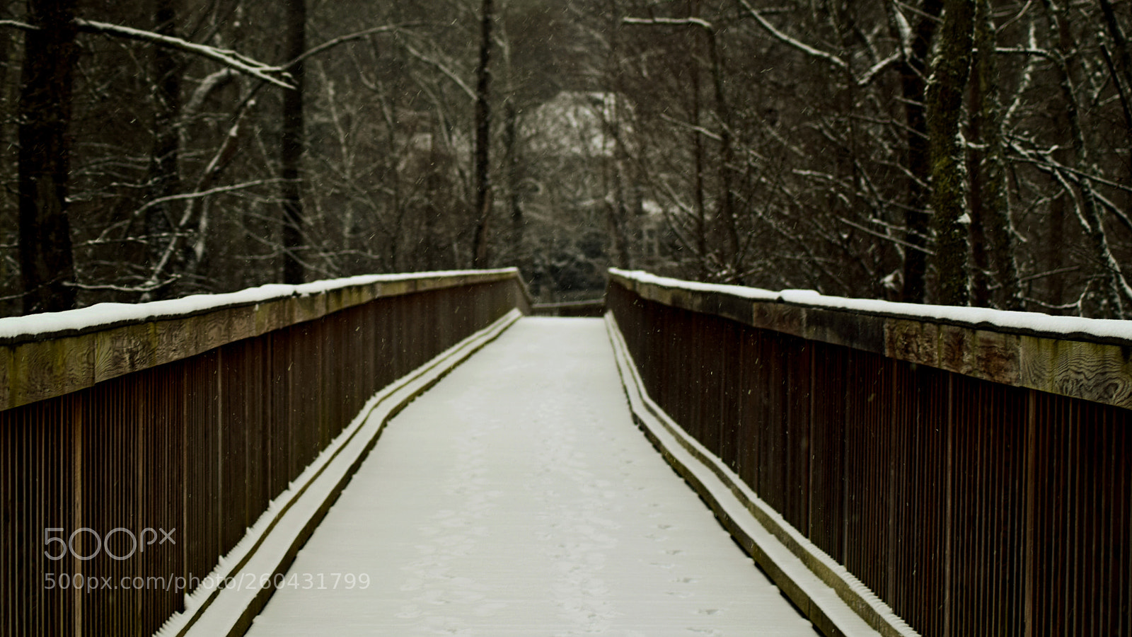 Nikon D3300 sample photo. A snowy bridge photography