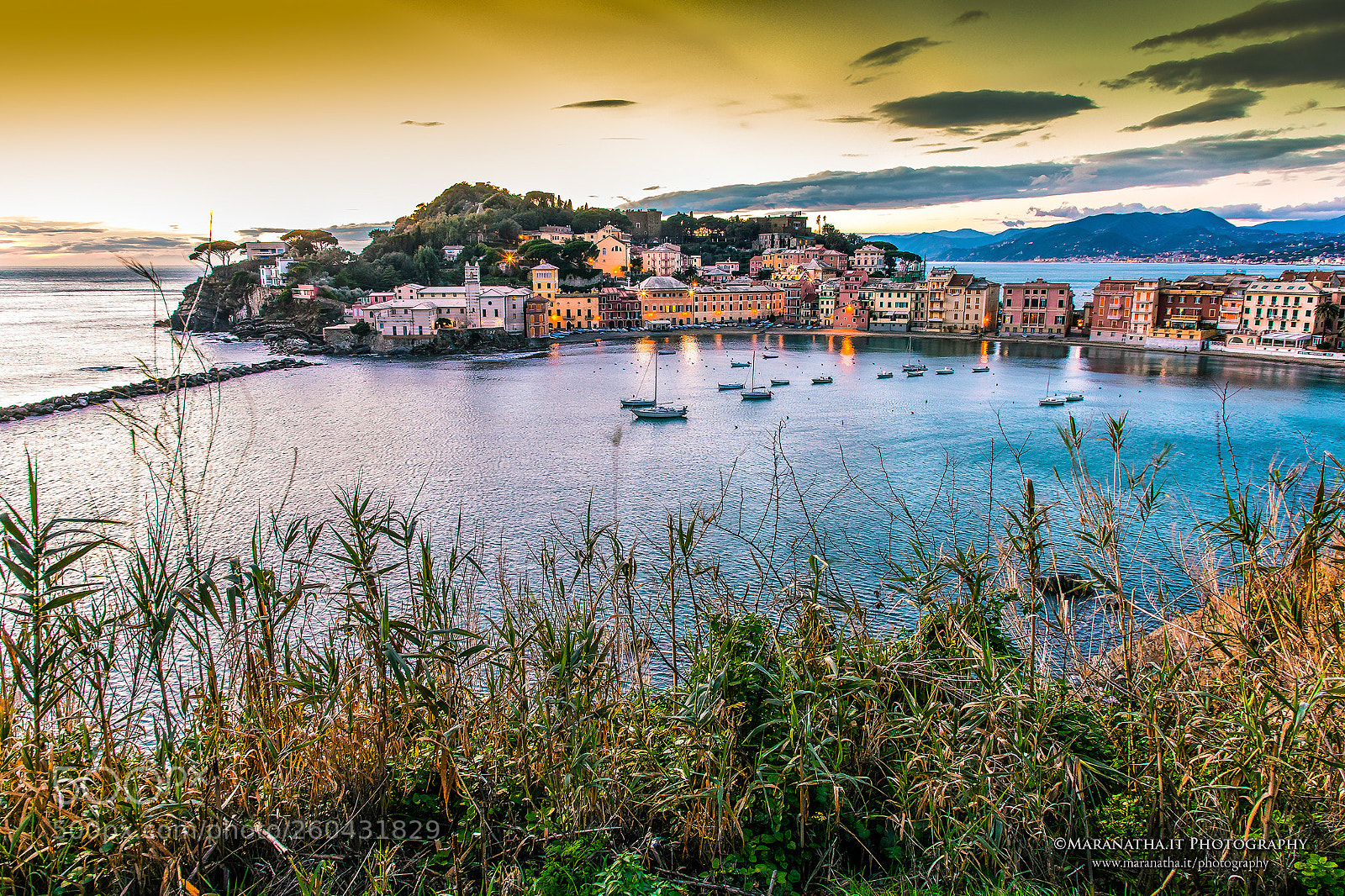 Canon EOS 6D Mark II sample photo. East bay at twilight photography