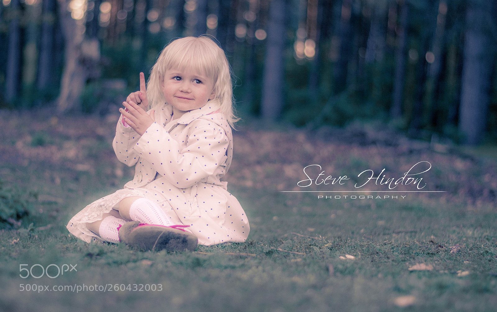 Nikon D7100 sample photo. Lilly photography
